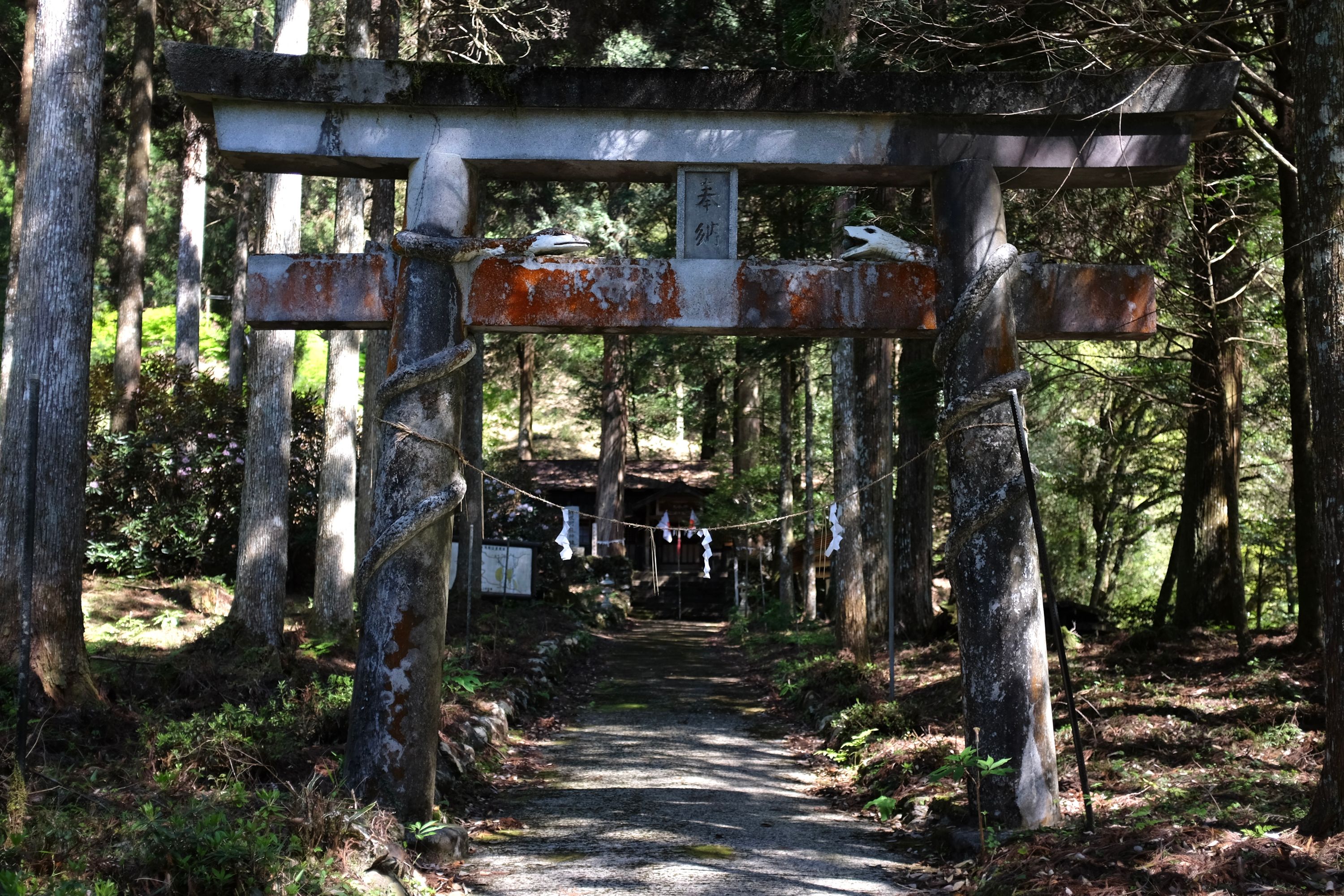 The gate of a shrine is decorated with two large snakes crawling up its pillars, very unusual for a Shinto shrine.