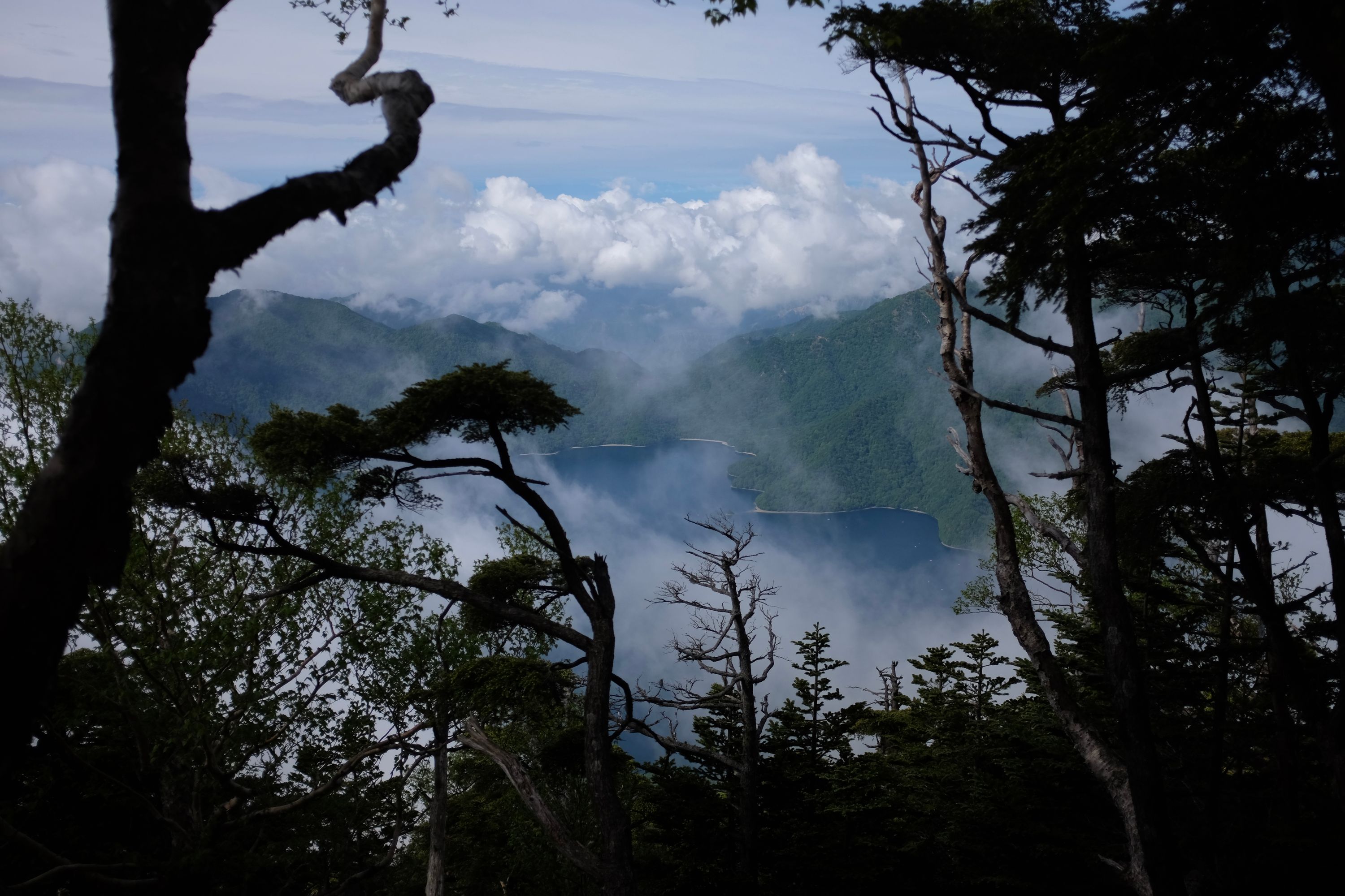 View of a mountainous landscape and Lake Chūzenji from a forest.