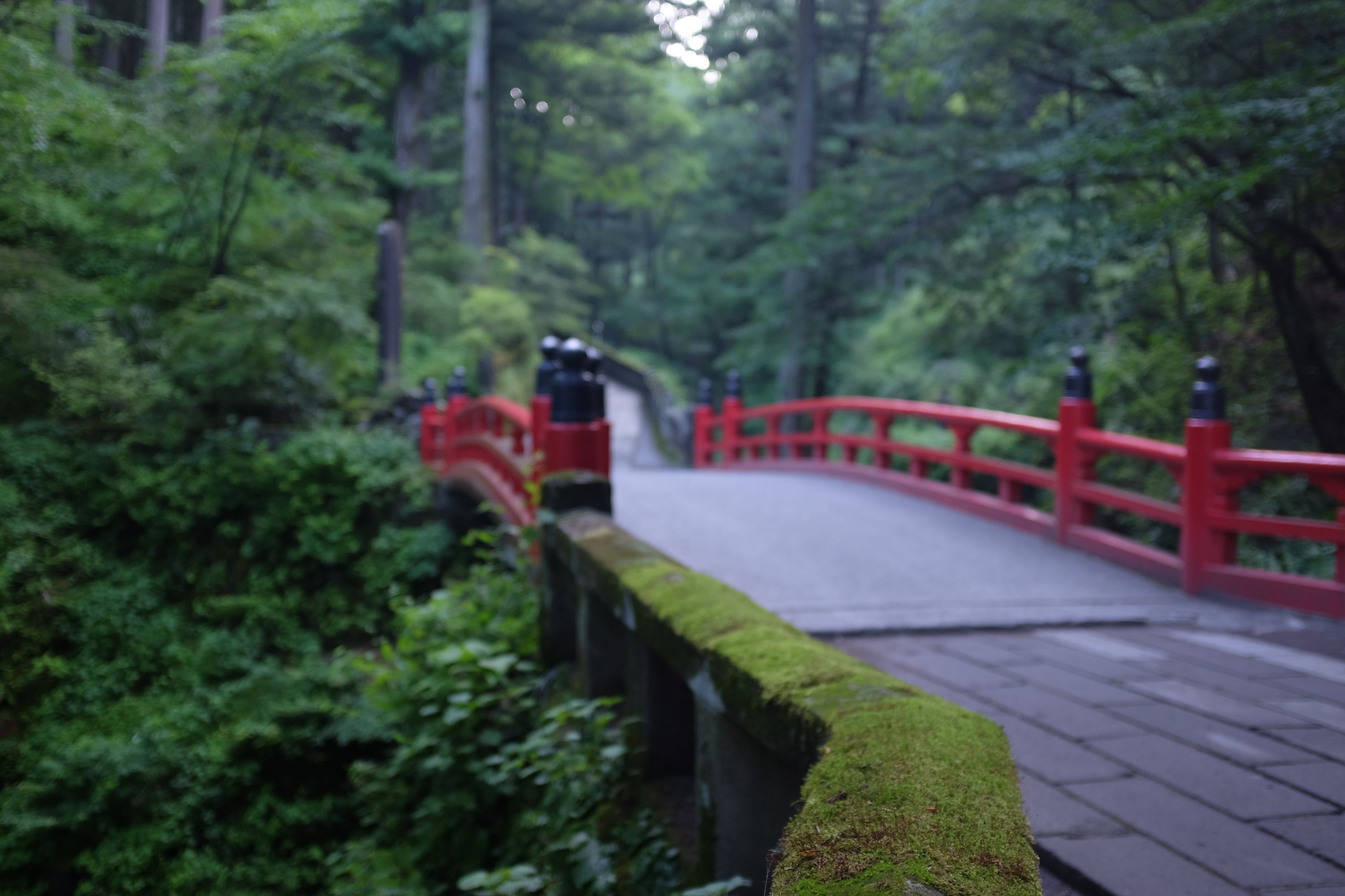 A red bridge leads into a forest.