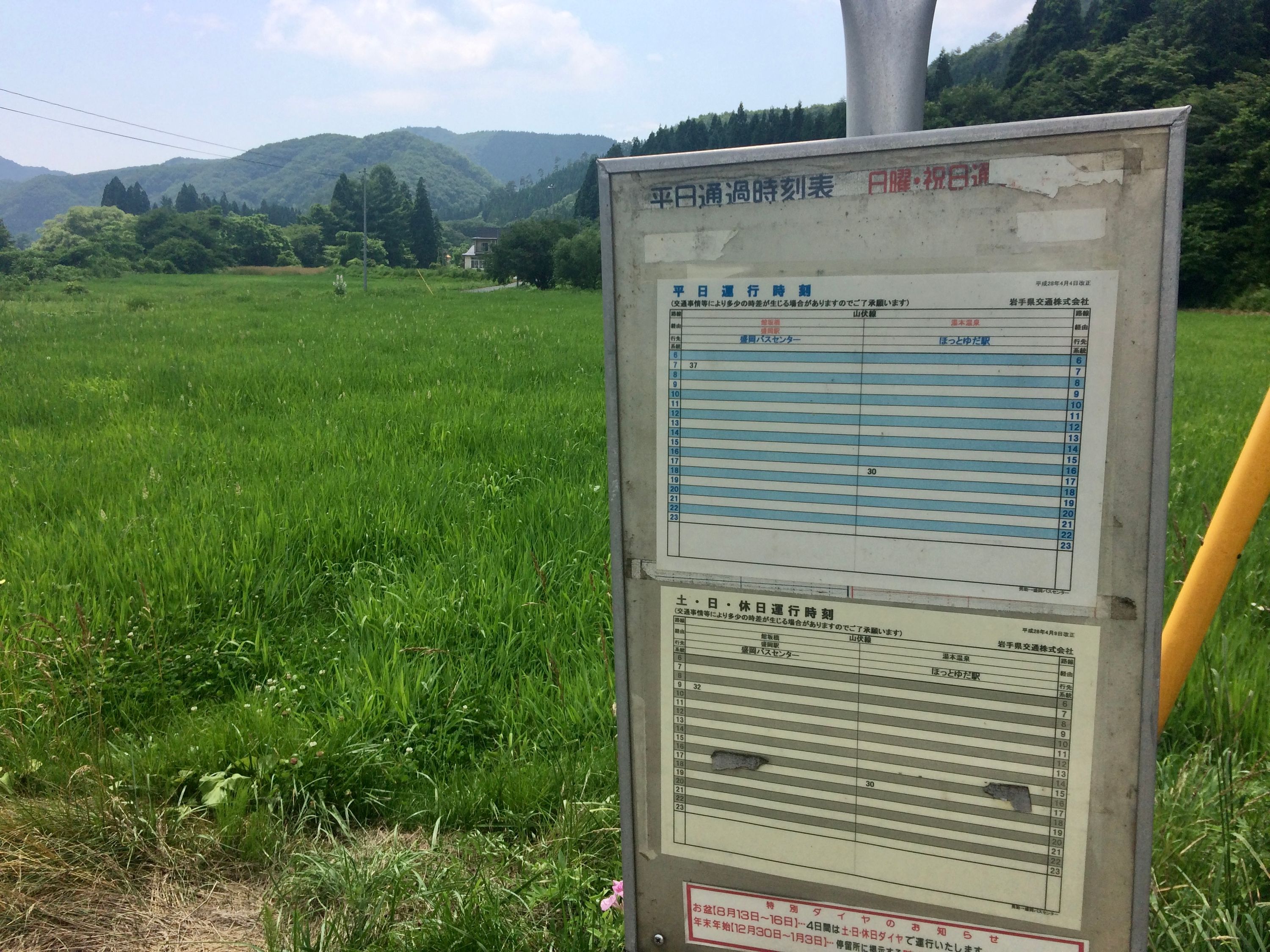 A bus schedule by a rice field shows a total of two buses a day.