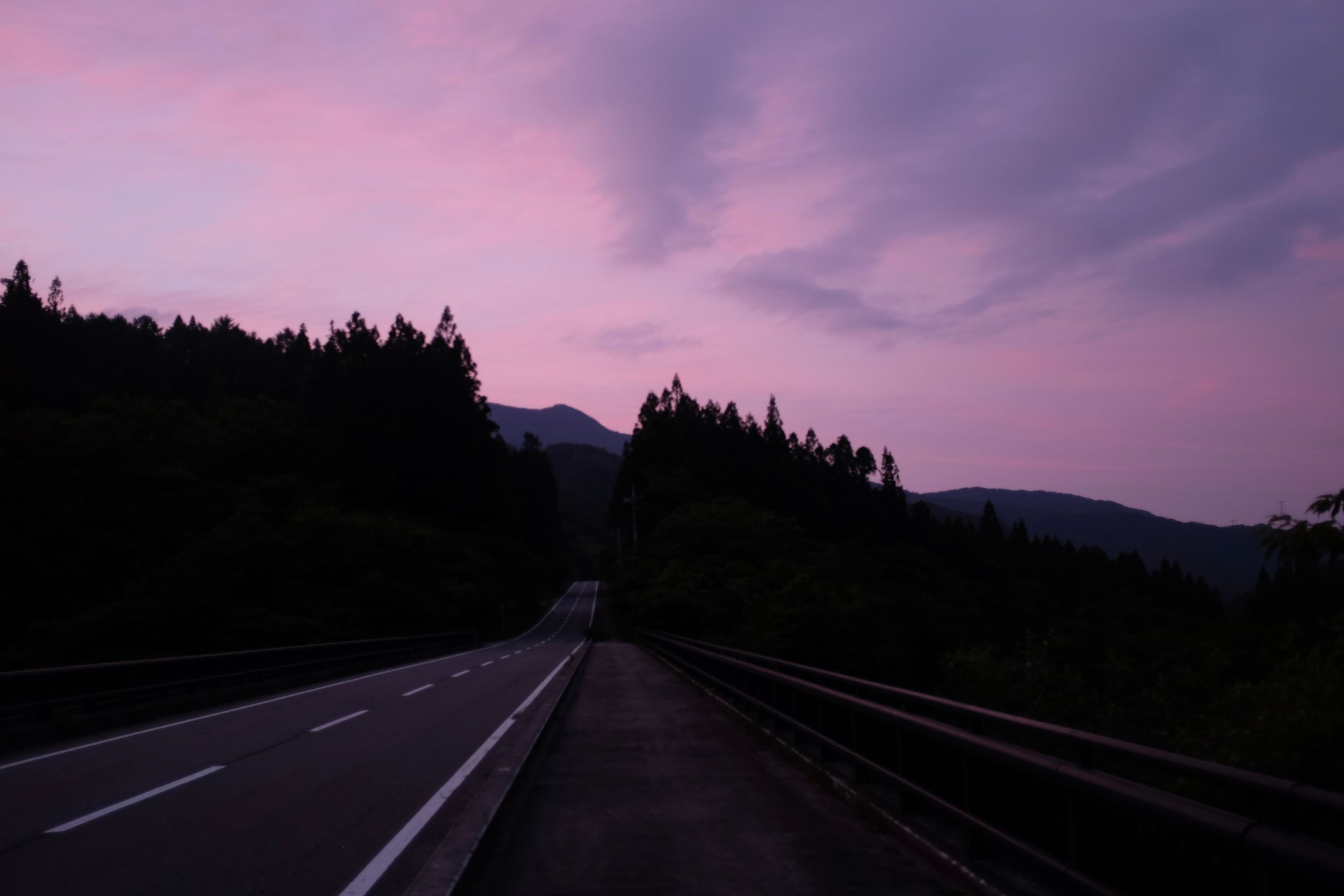 A road leads into a forest under a pink-purple evening sky.