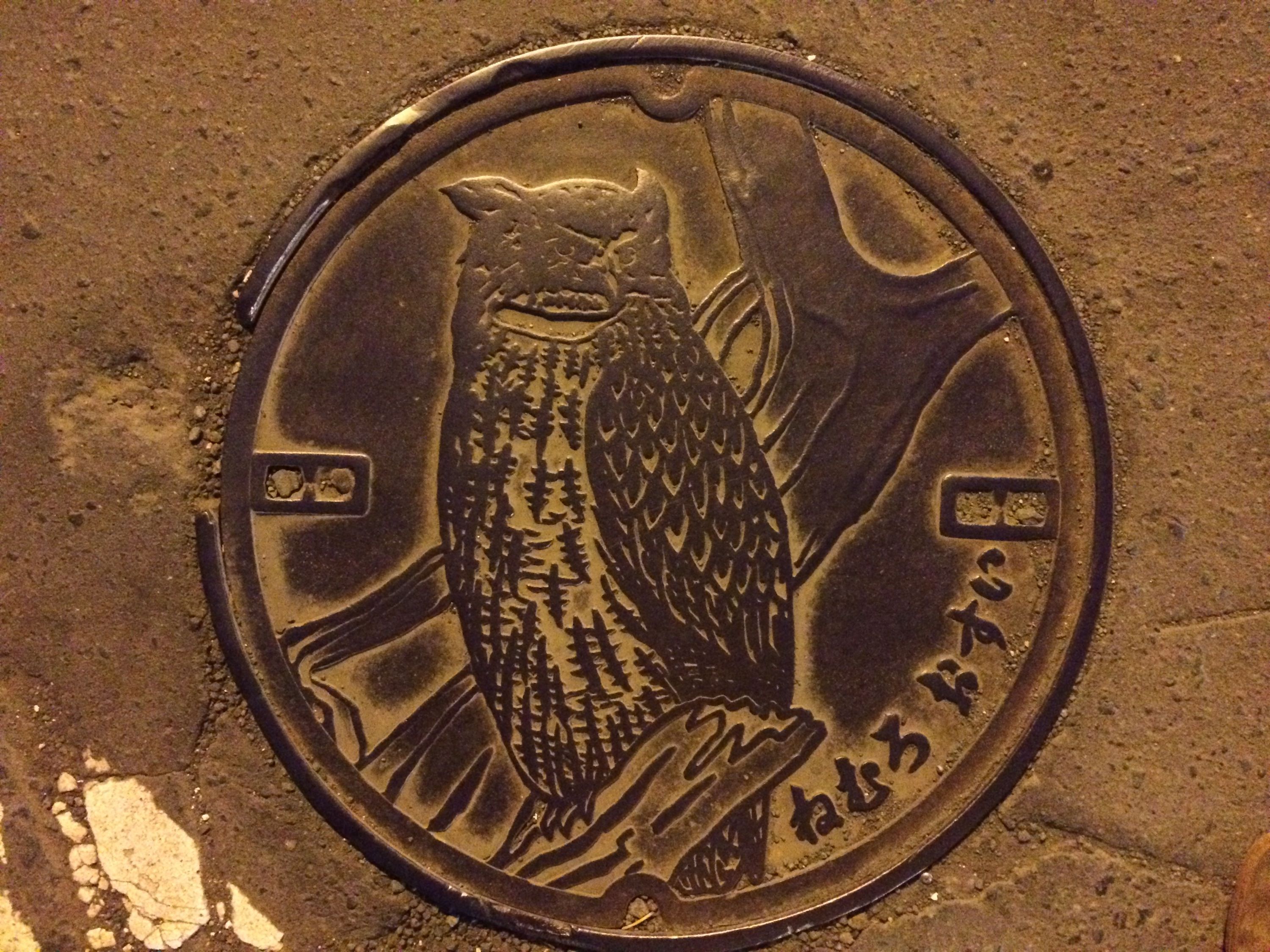 A manhole covered decorated with a Blakiston’s fish owl, the largest owl in the world.