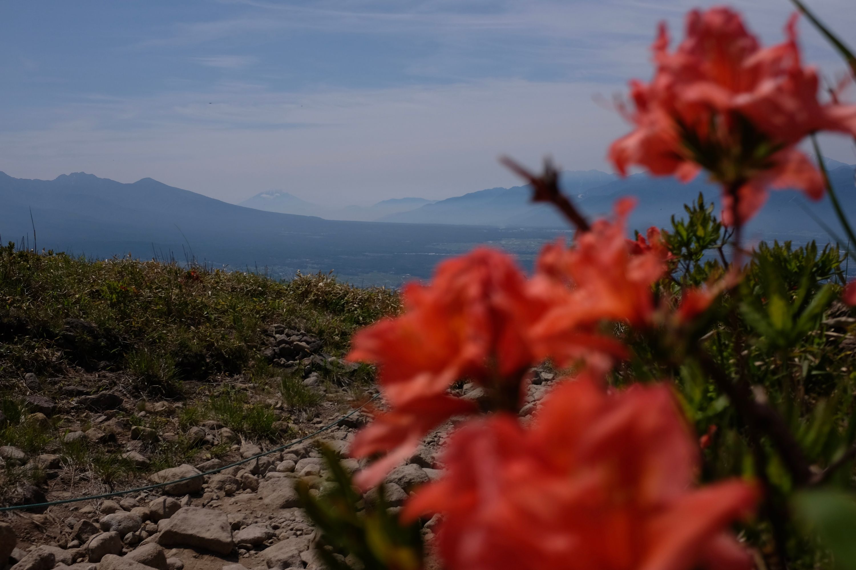 Another look on the same landscape.