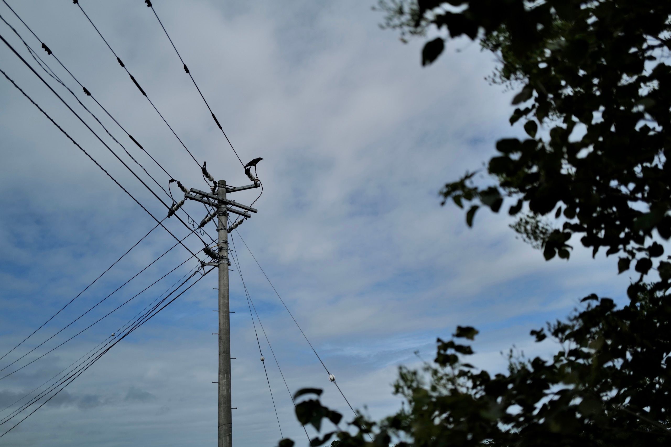 A crow sits on a wire against a cloudy sky