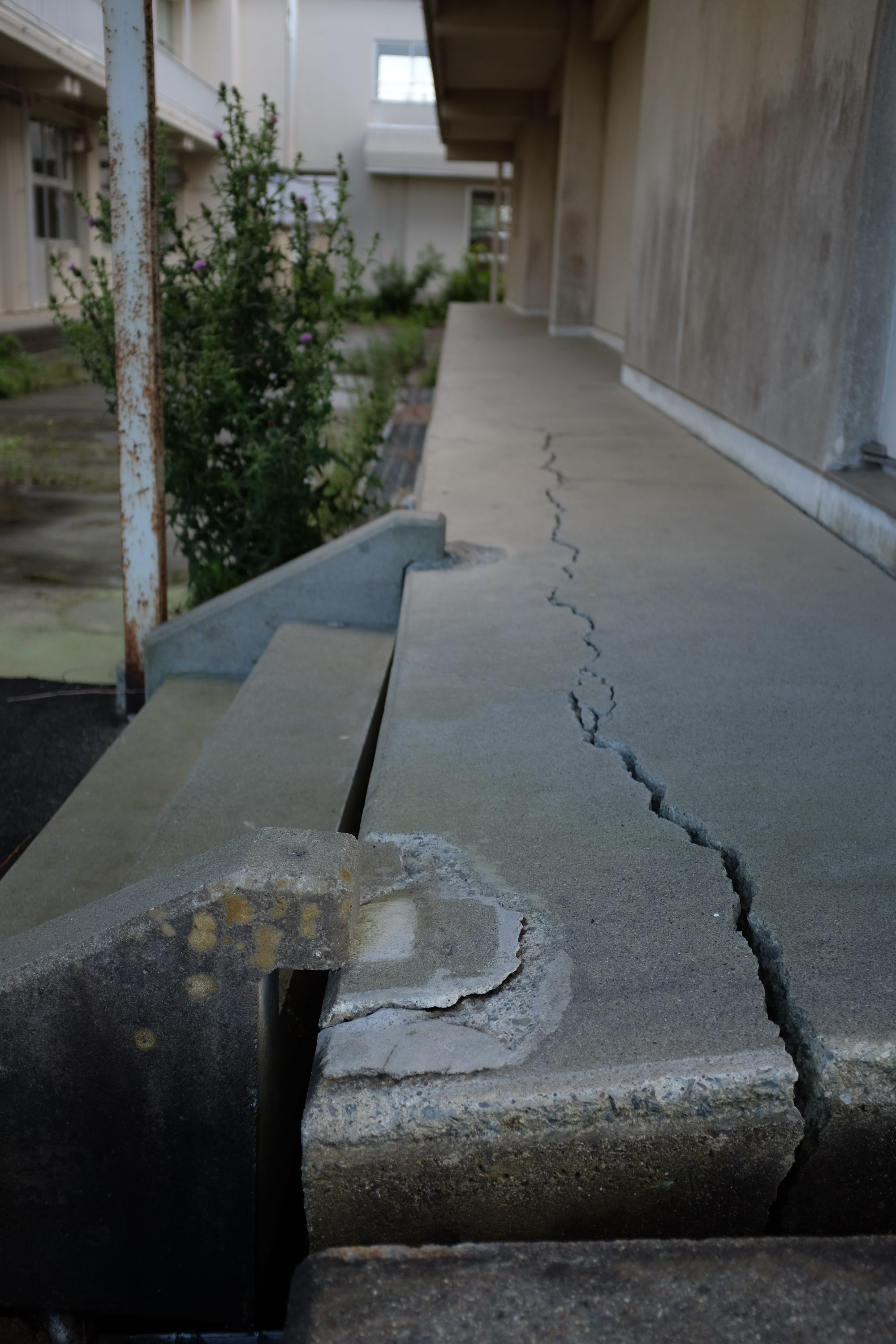 The cracked concrete porch of a school.