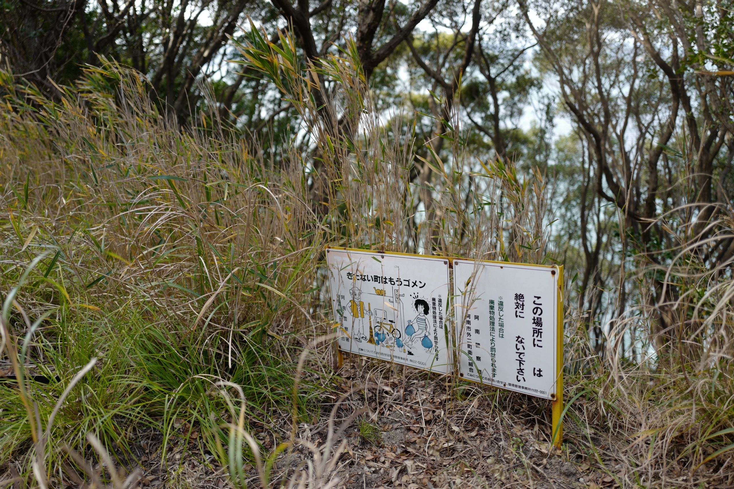 A sign in the same place warns against littering.