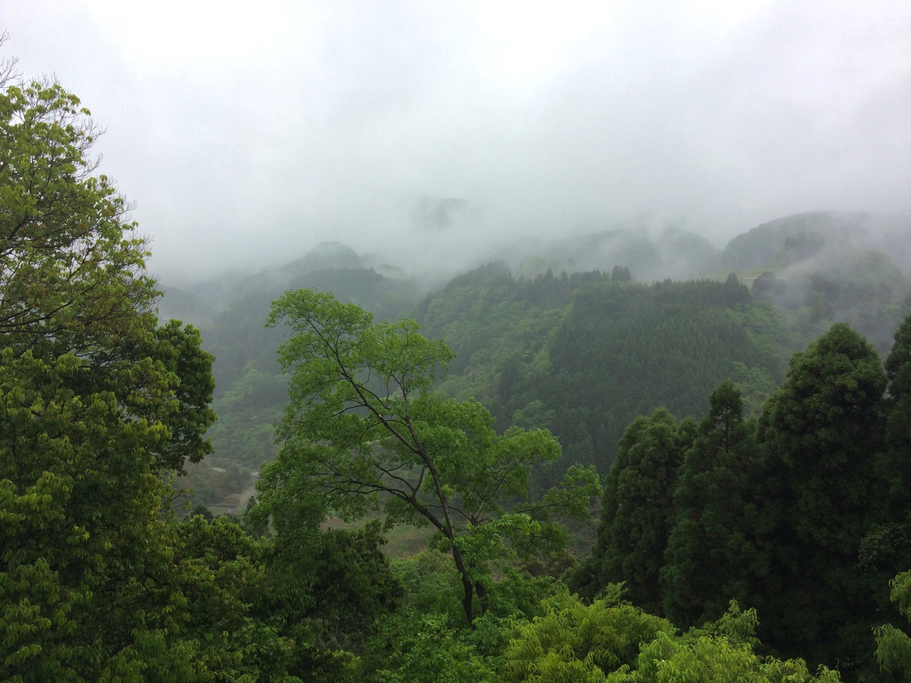A landscape of low clouds above forested hills.