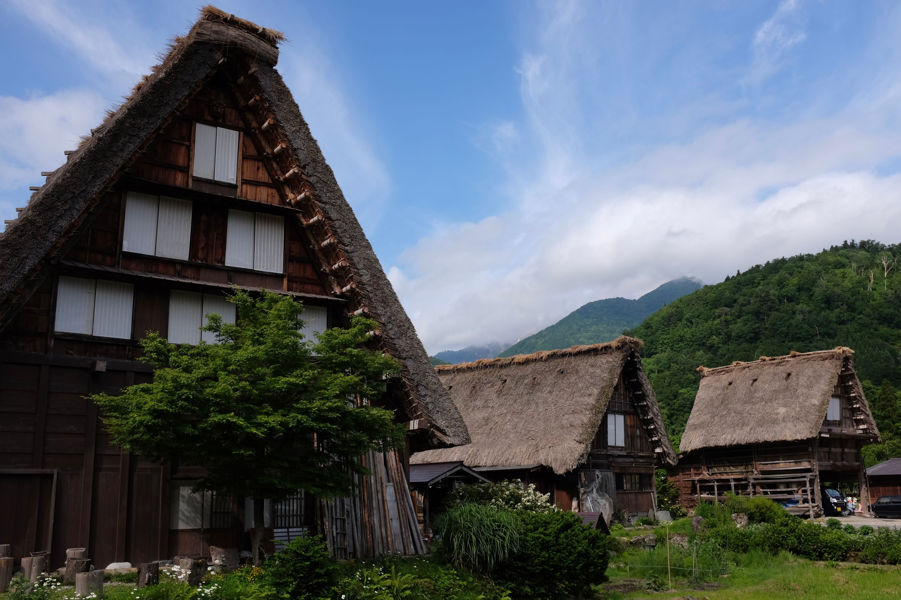 A group of large, thatch-roofed farmhouses.