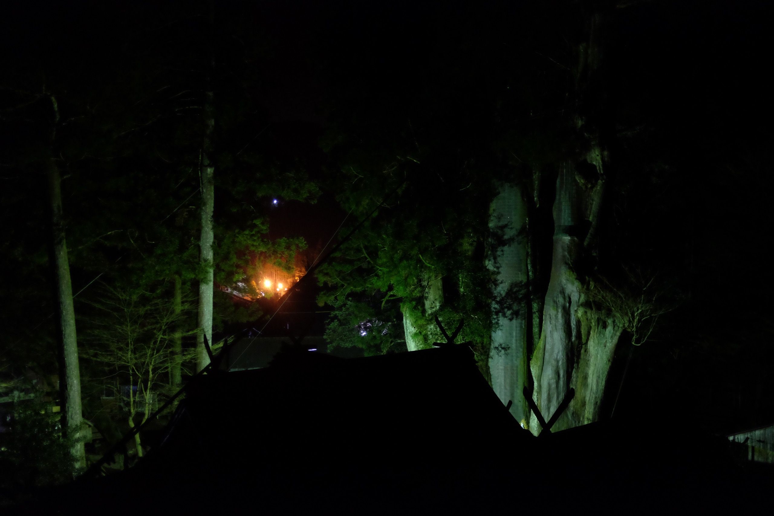 In the very dark night, the trunk of an enormous tree is visible next to what appears to be the roof of a Japanese shrine.