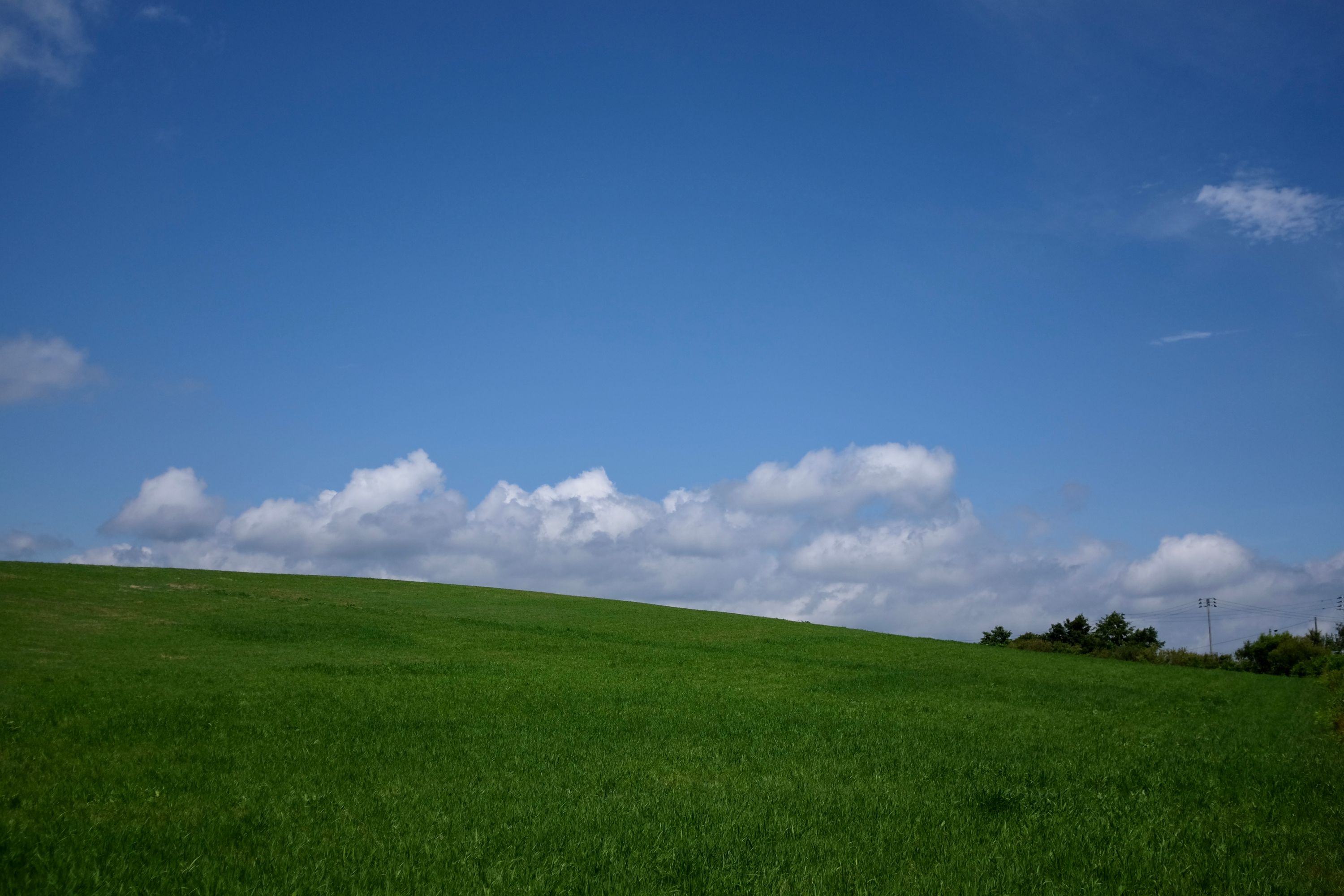 A green field under a blue sky, very closely resembling the classic Windows 95 wallpaper called Bliss.