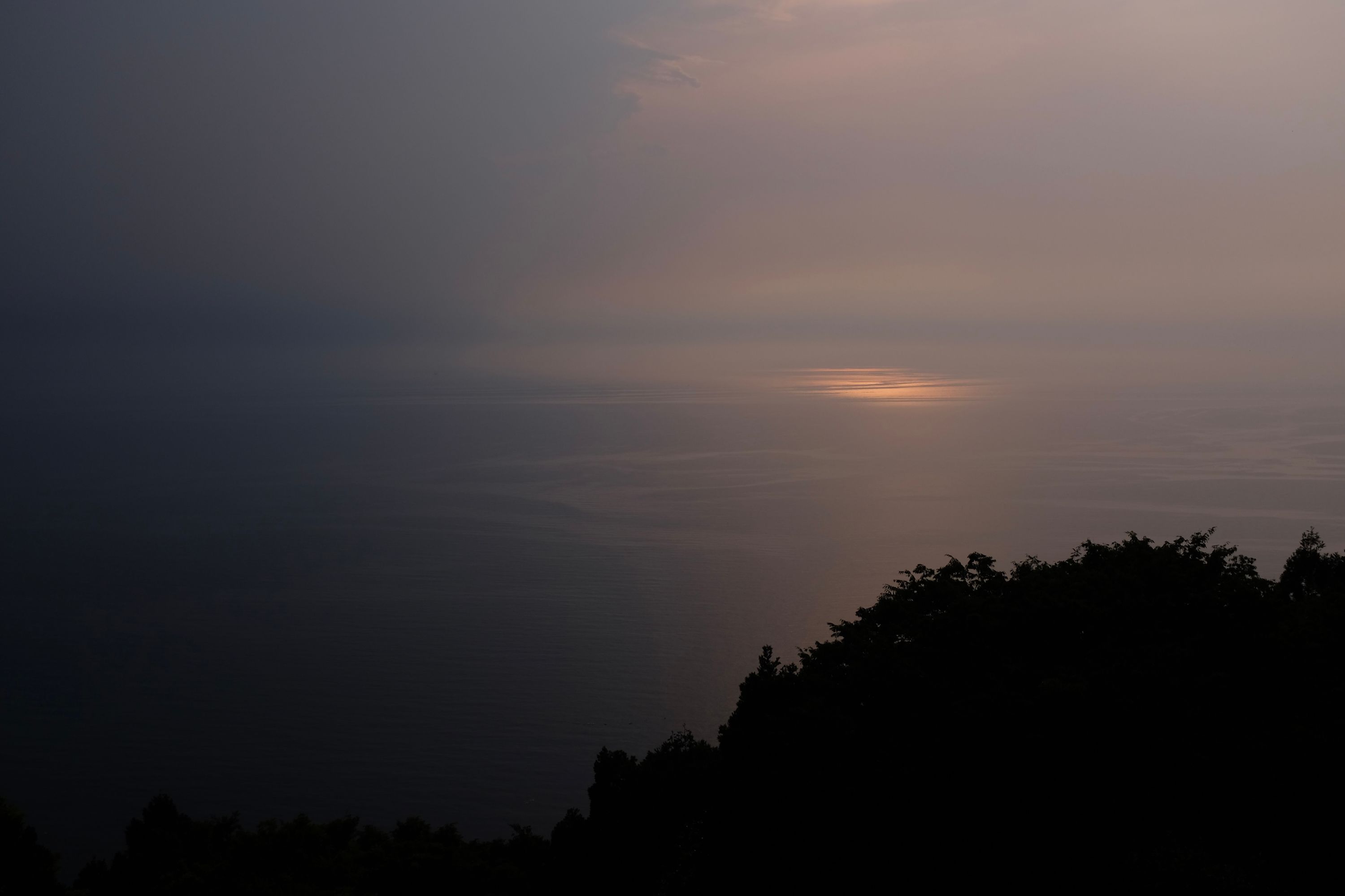 Looking out over the sea from a hillside.