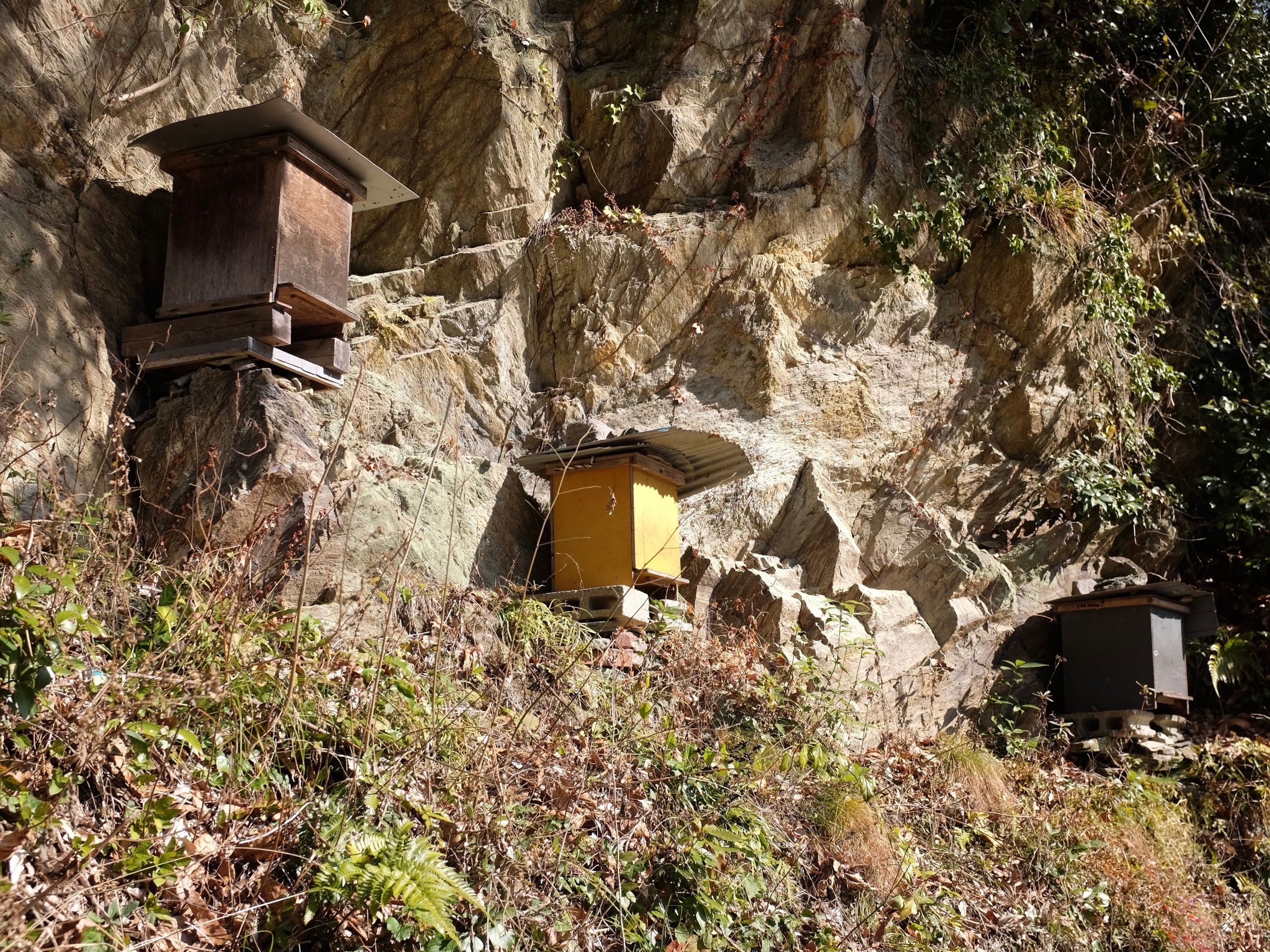 Three small square hives places on rocks on a hillside.
