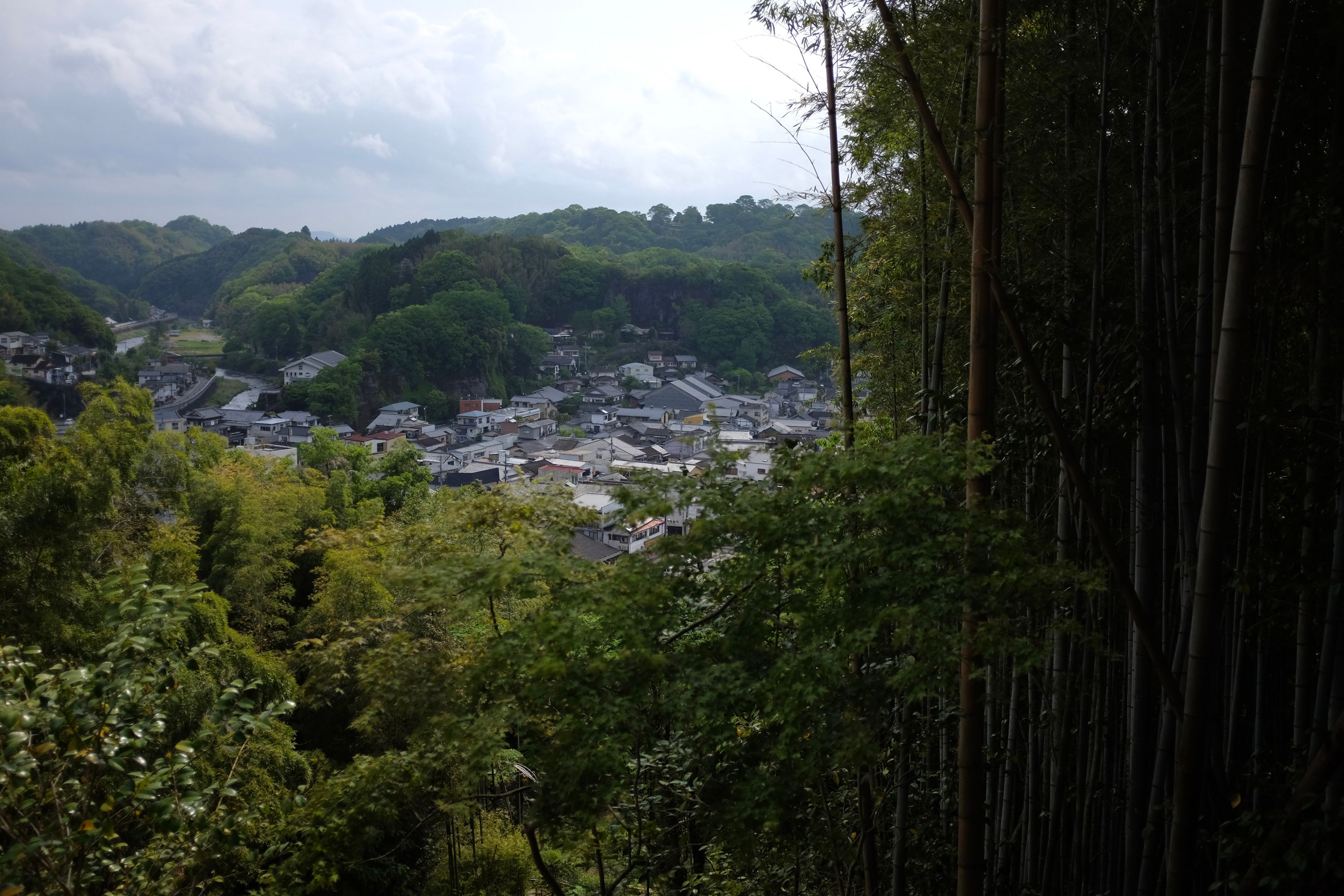 View of a small town from atop a hill covered in dense vegetation.