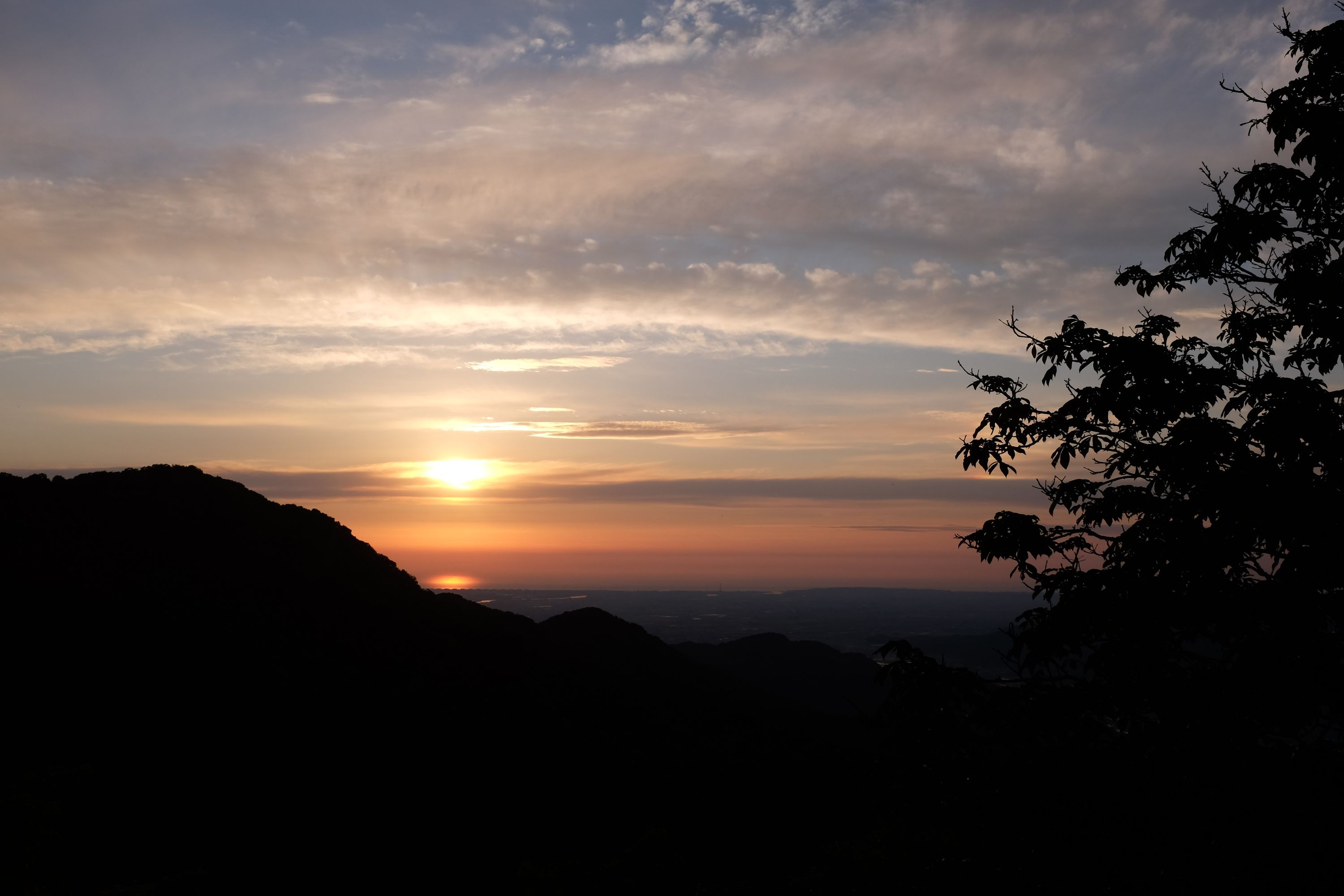 The setting sun over the sea as seen from a densely forested place.