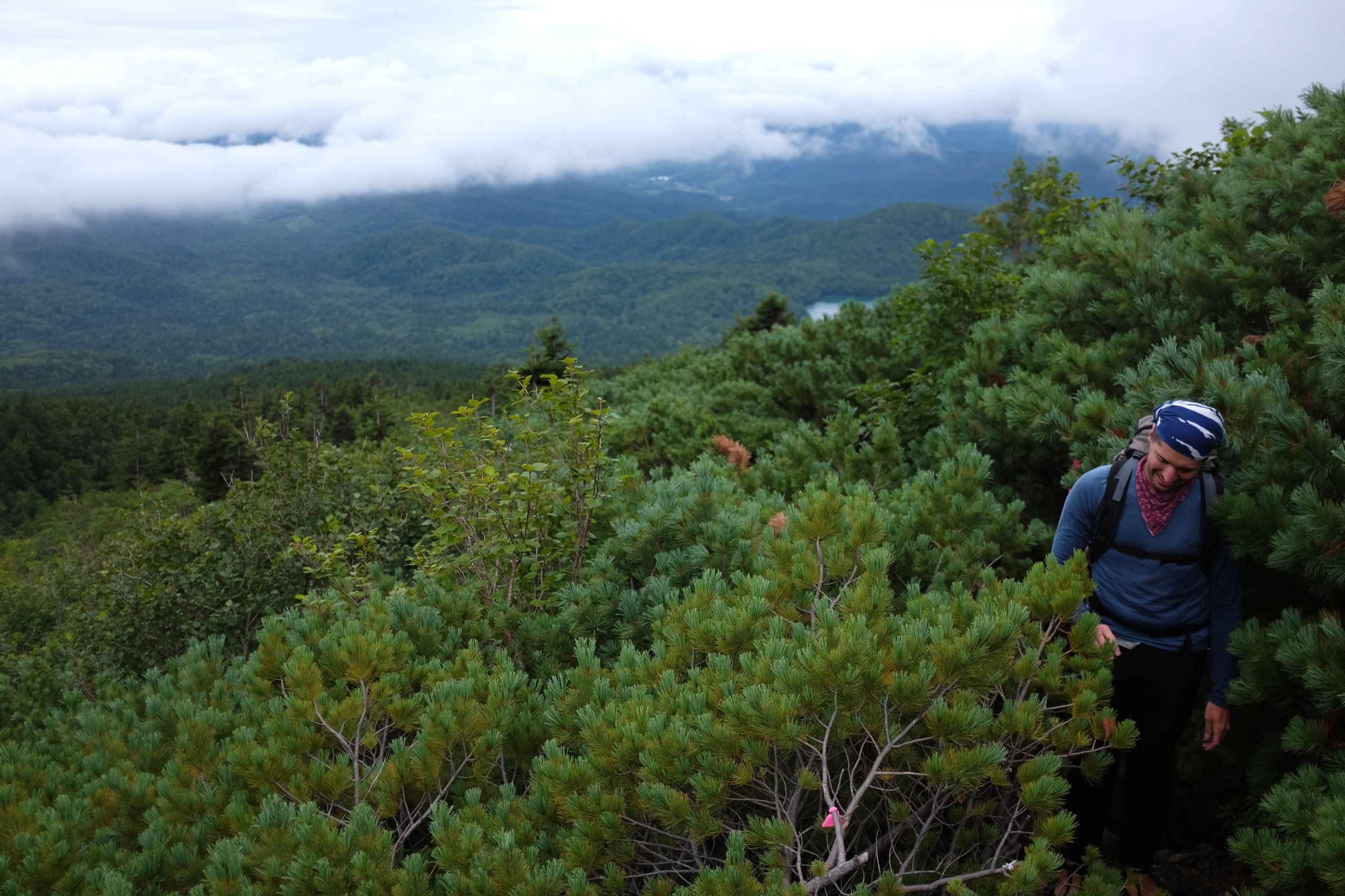 Gabor in a forest of stone pine, with a view of forested hills behind him.