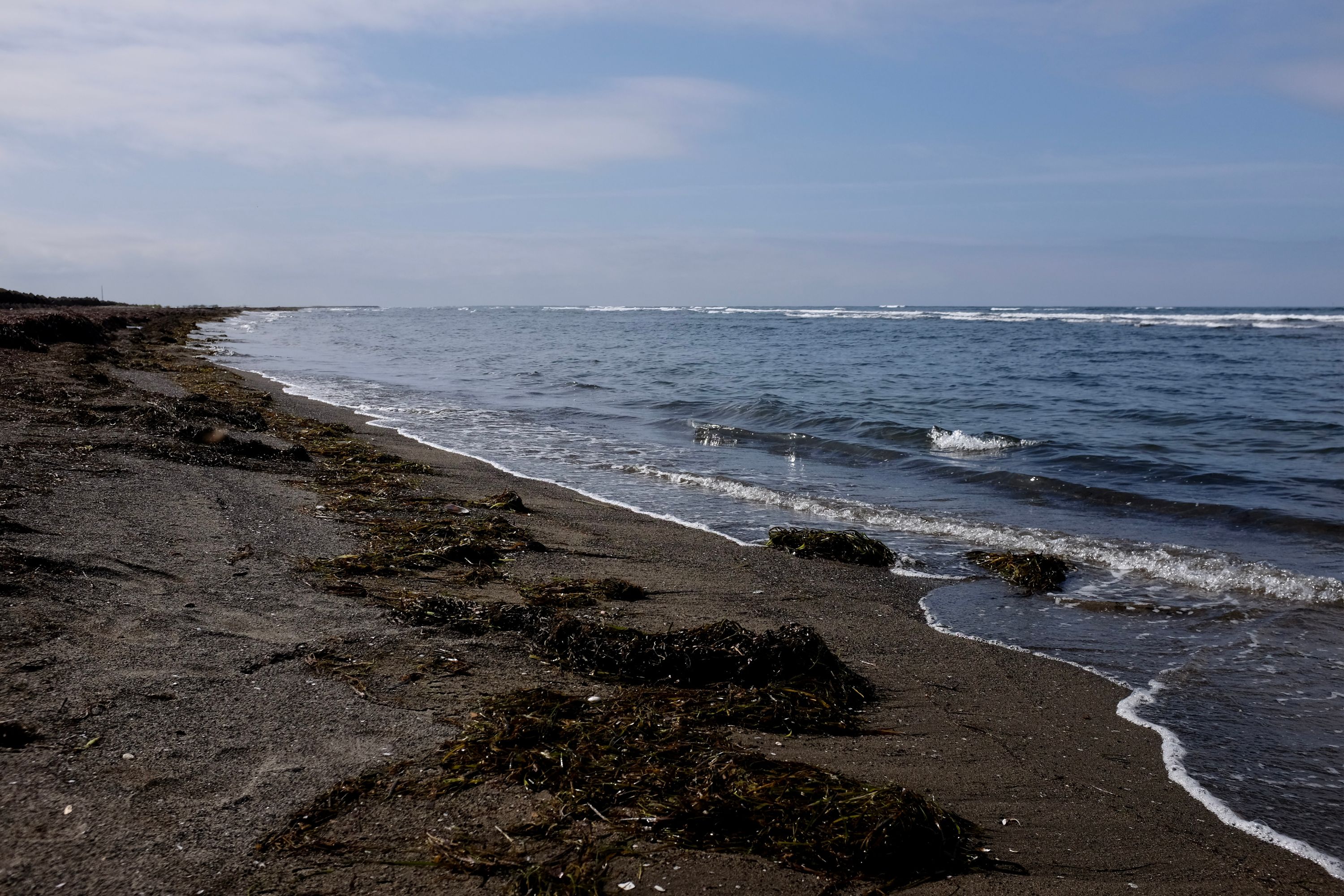 A kelp-covered beach on the Sea of Okhotsk.