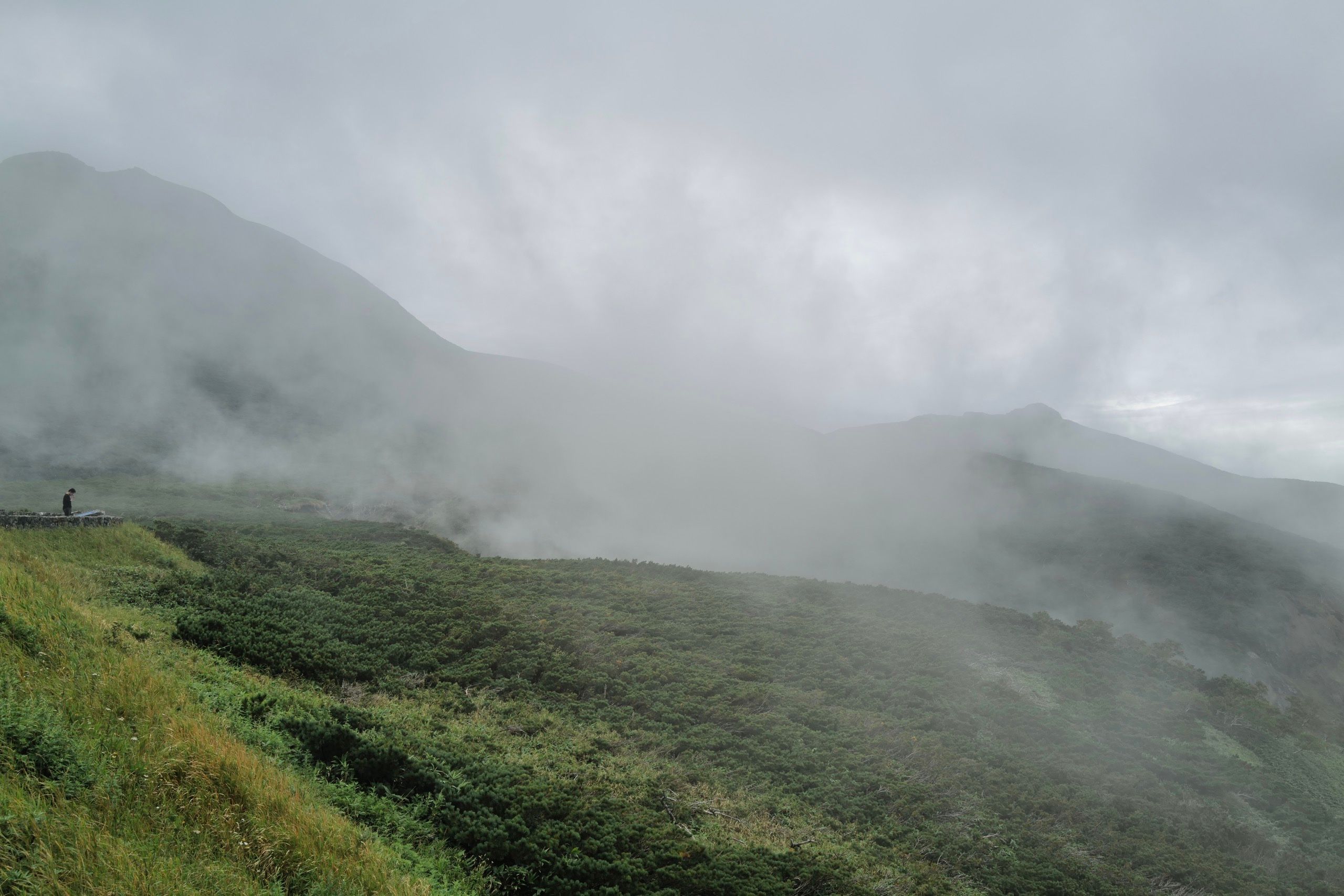 A man in the distance stands on a platform with an enormous cloudy green forest in front of him.