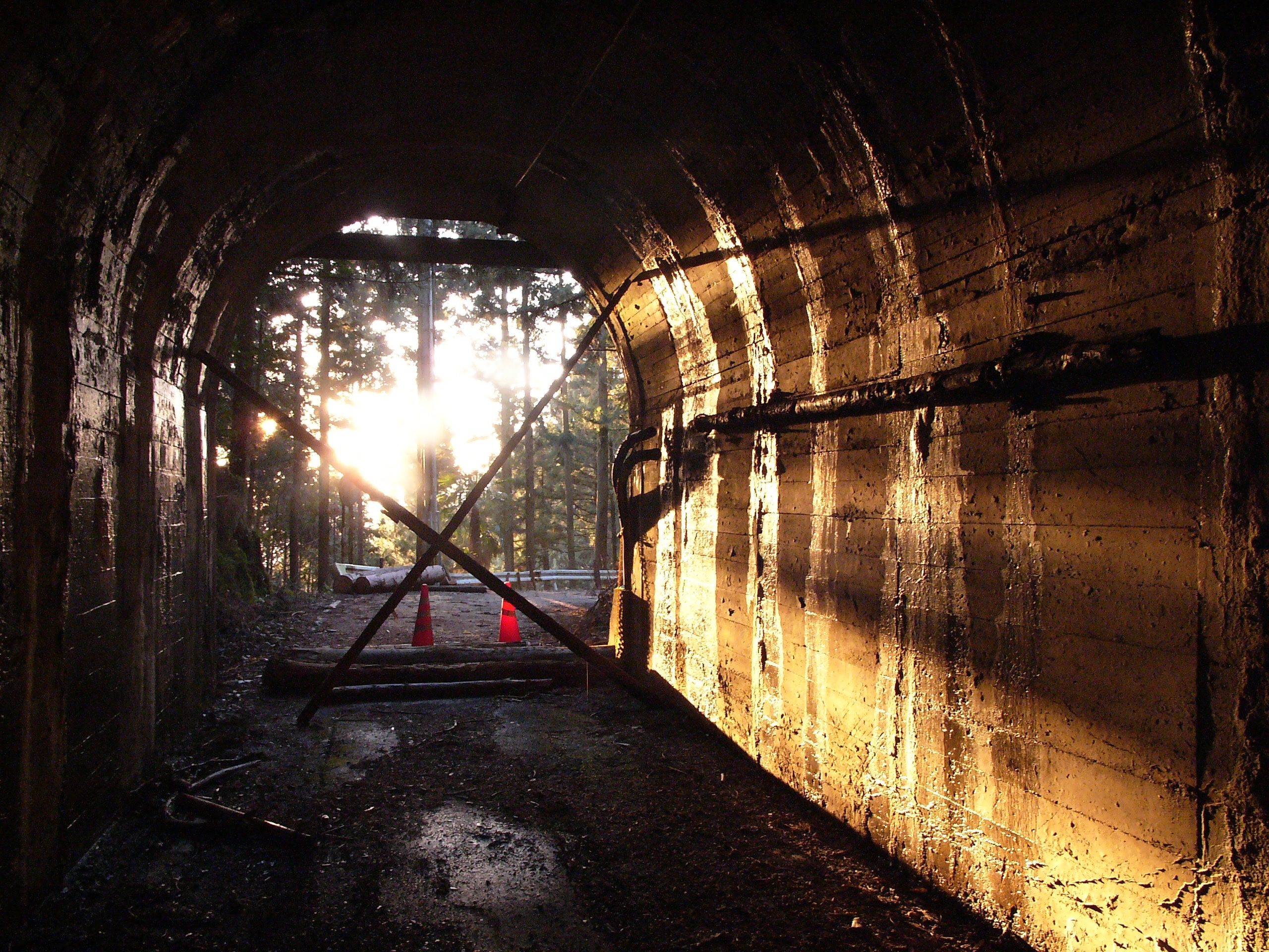 Two timbers form an X in the mouth of a tunnel, with the sun setting in the forest beyond it.