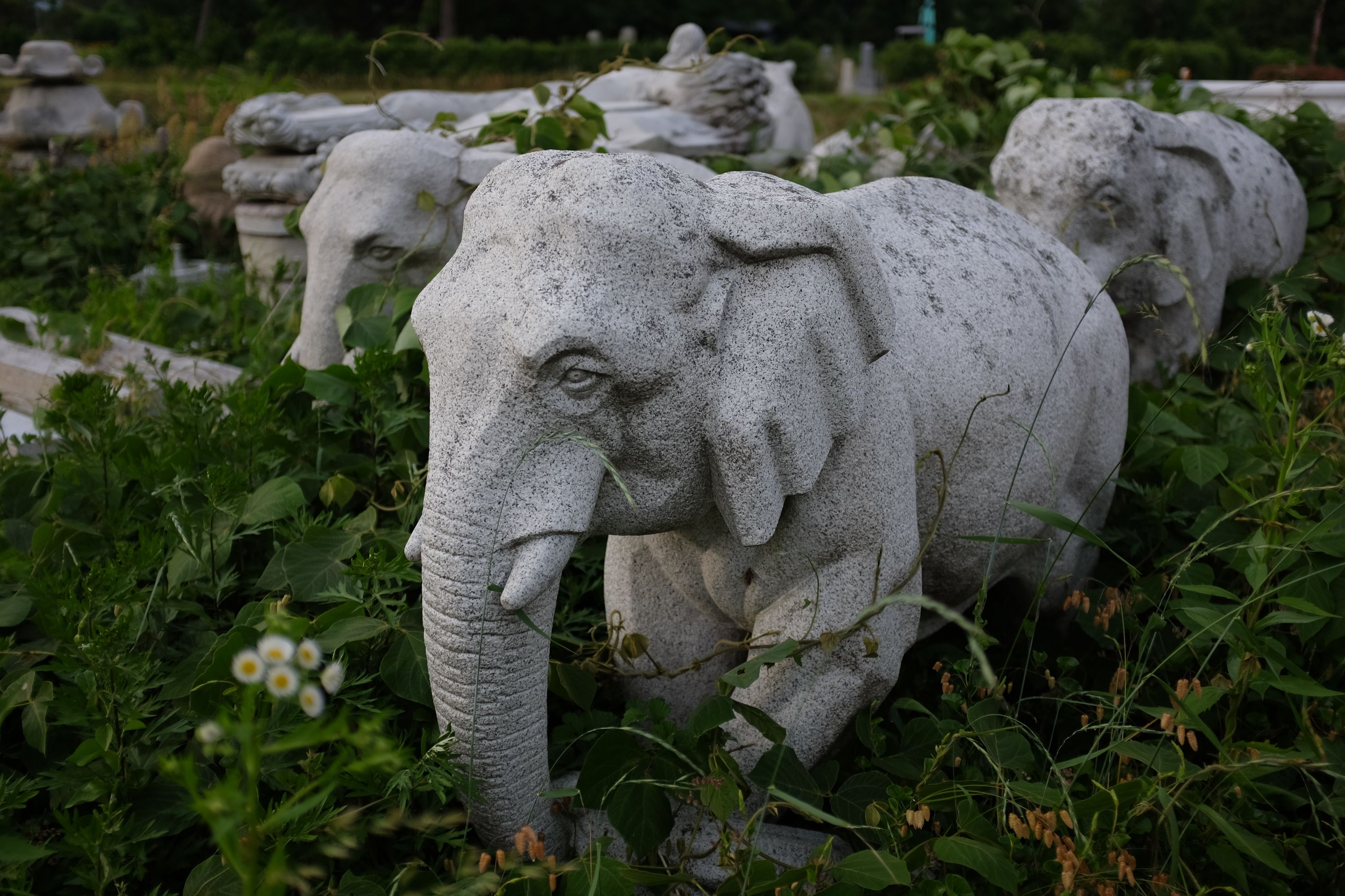 Stone statues of elephants walk in tall grass.