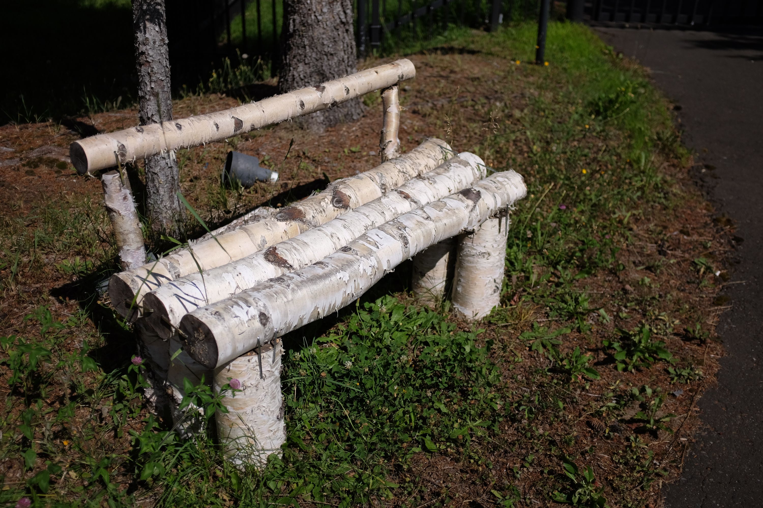 A bench made of white birch logs.