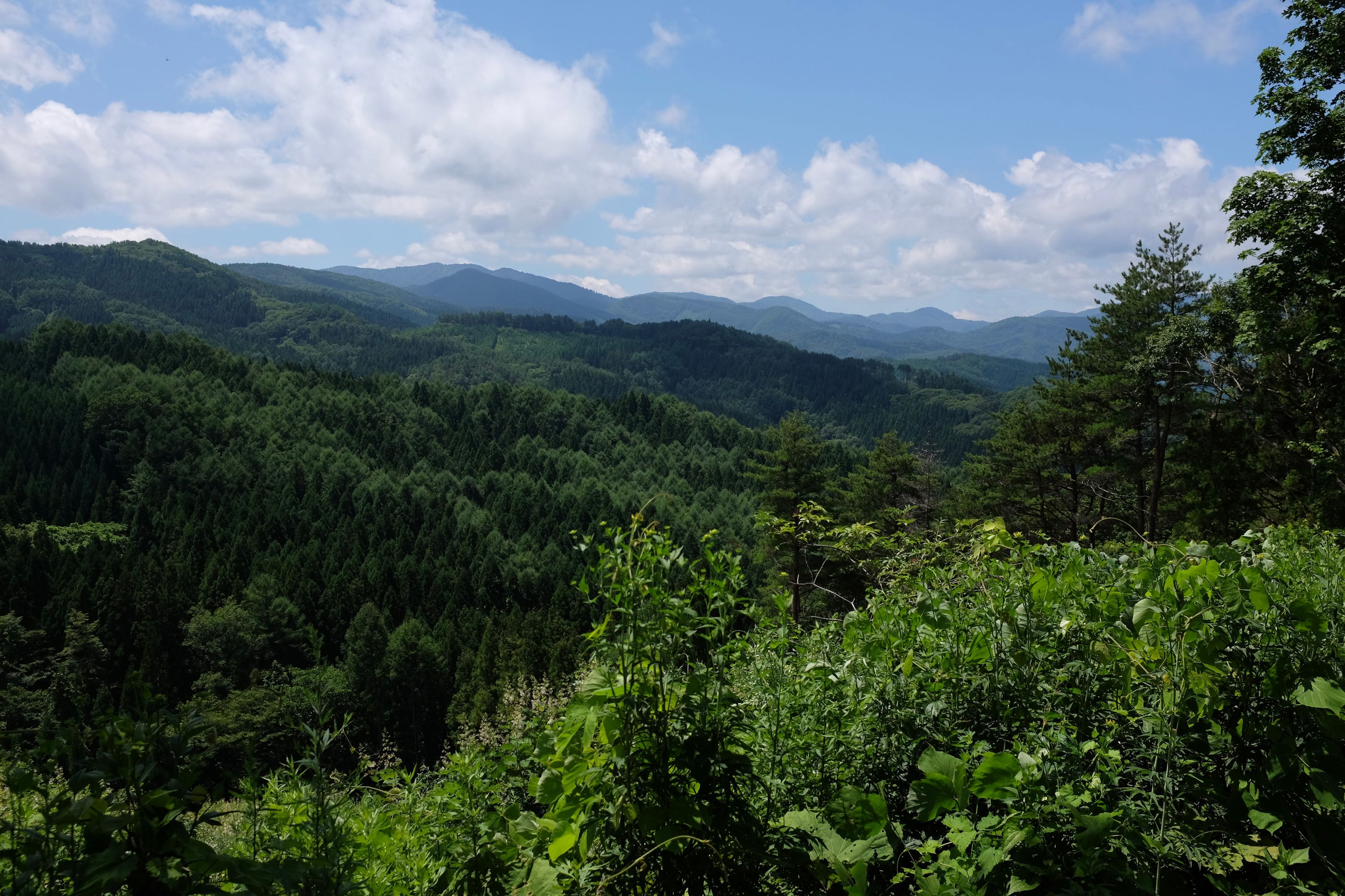 Panorama of a green, hilly landscape.