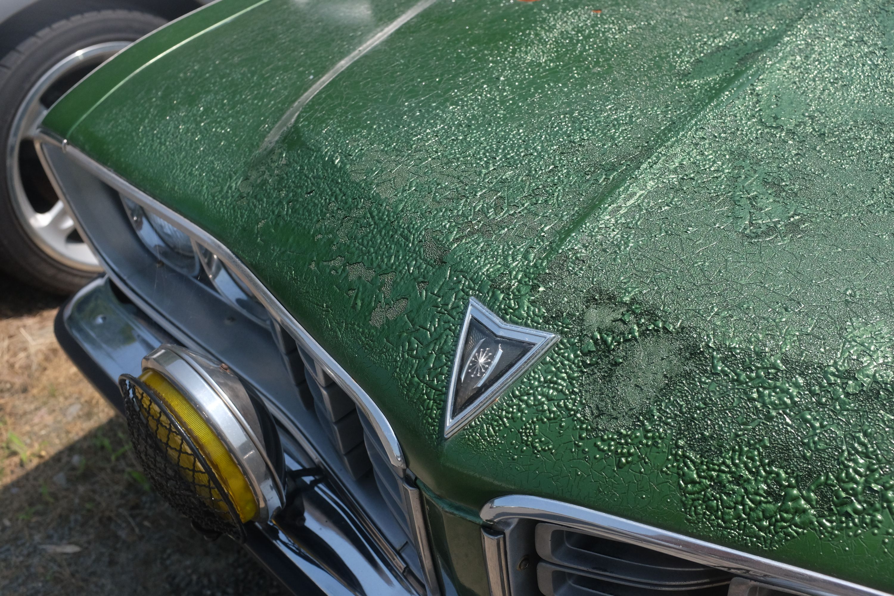 The sun-damaged green paint on the hood of an old car.