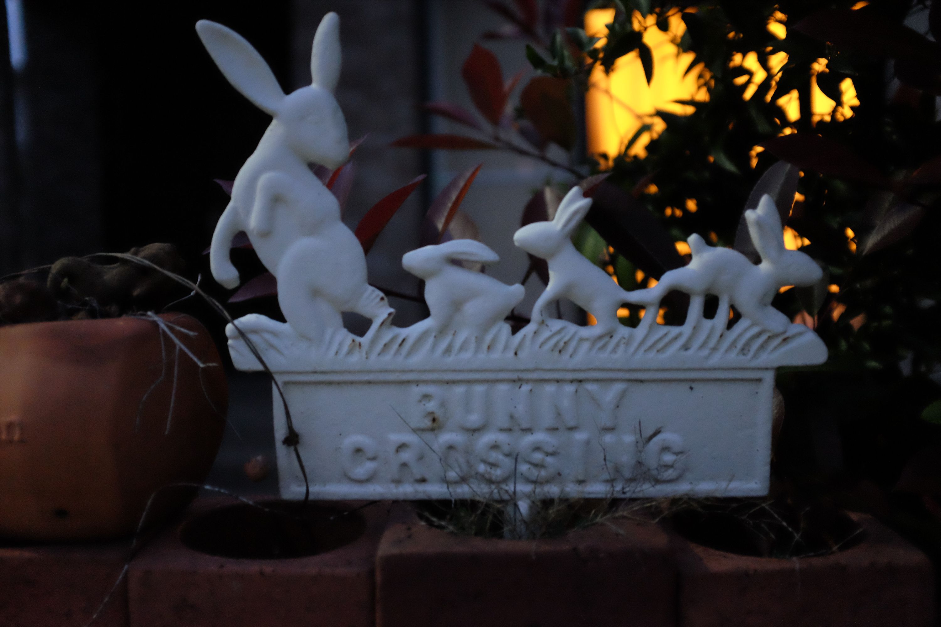 A sign says “Bunny crossing” and shows one large and three small hares.