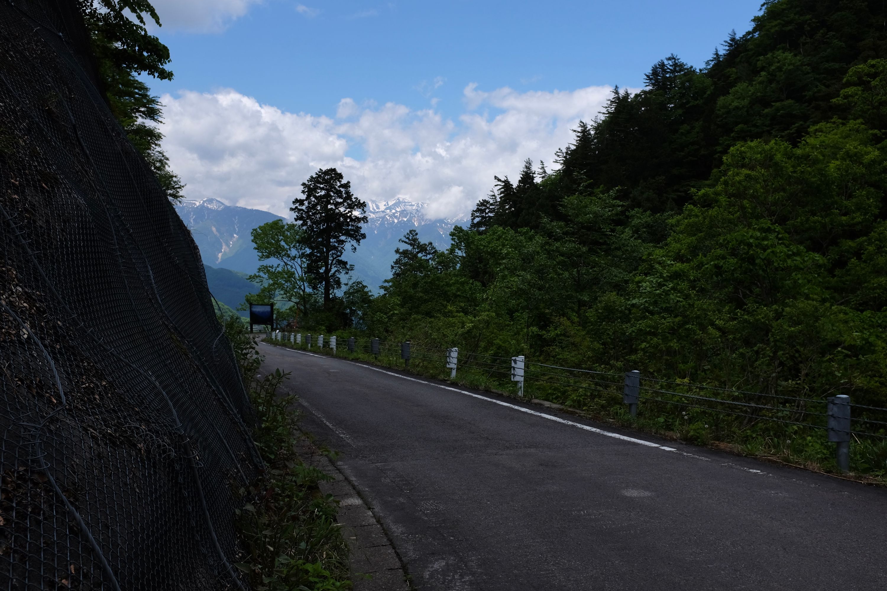 A narrow road cuts through a forest, the peaks of Hakusan visible behind it.