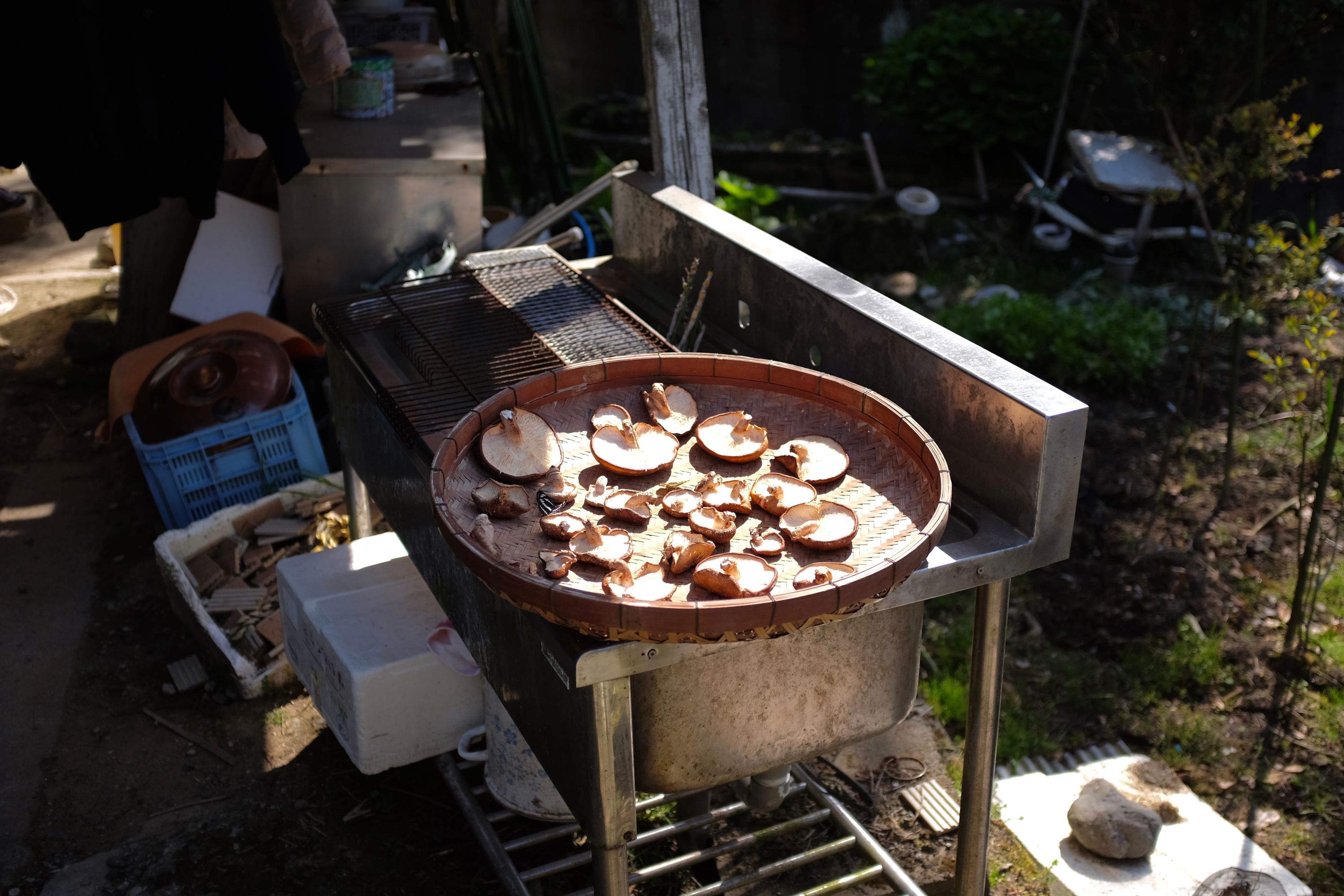 Mushrooms drying in a basket on a porch.