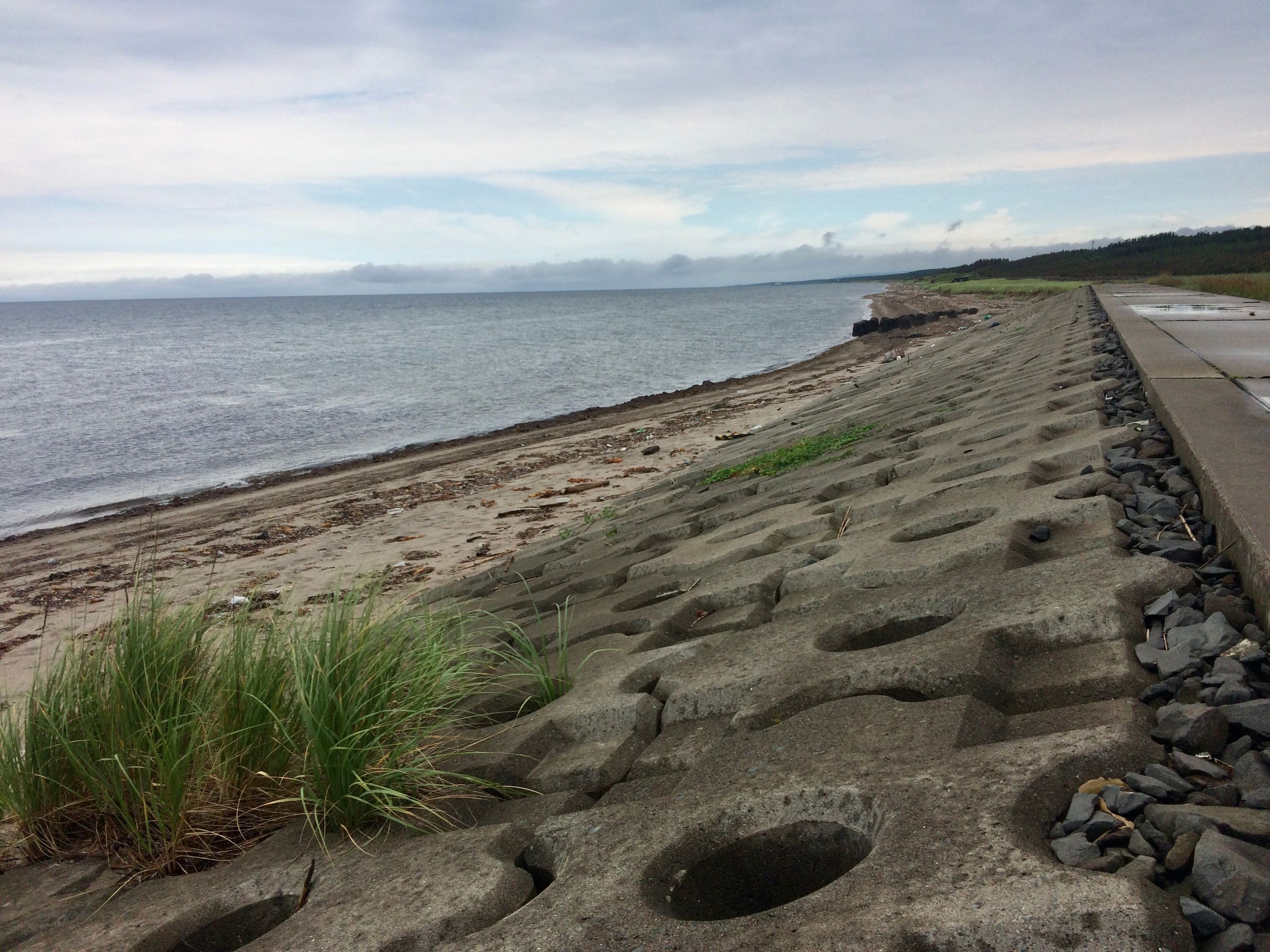 A sea wall extends into the distance by a road.