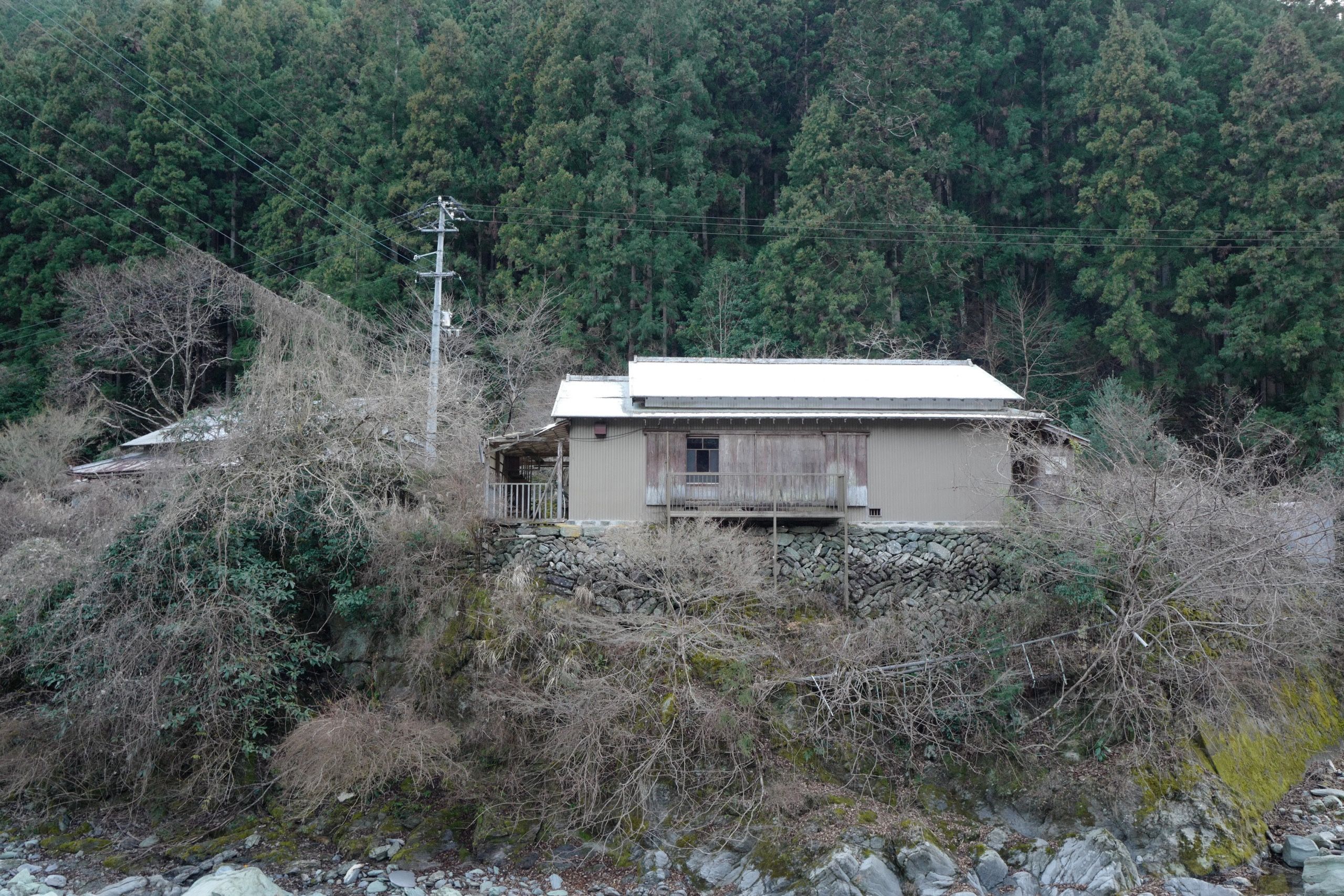 A simple white Japanese house, possibly abandoned, stands on a hillside in front of a cedar forest.