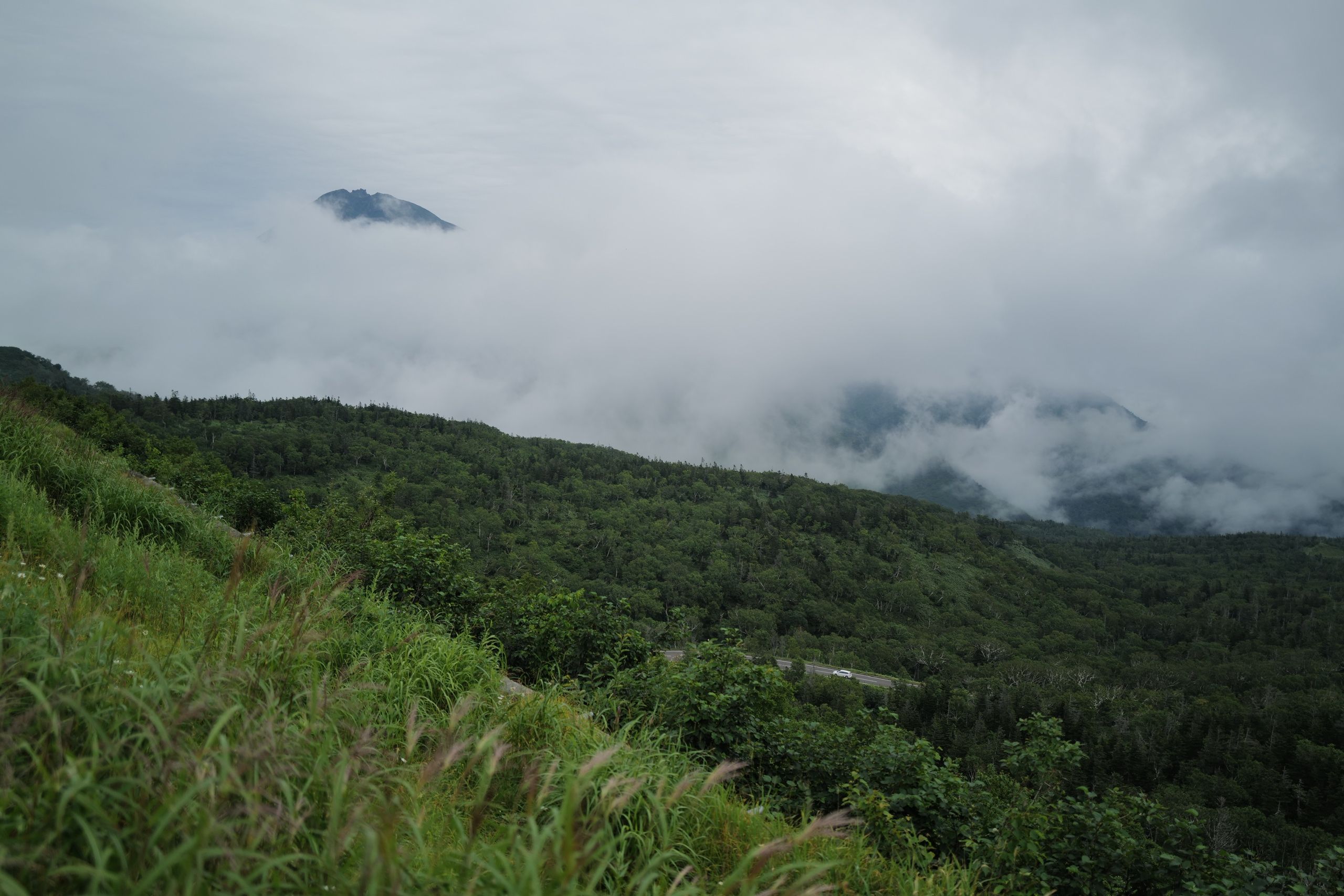 The peak of a high mountain emerges from the clouds in a forested landscape.