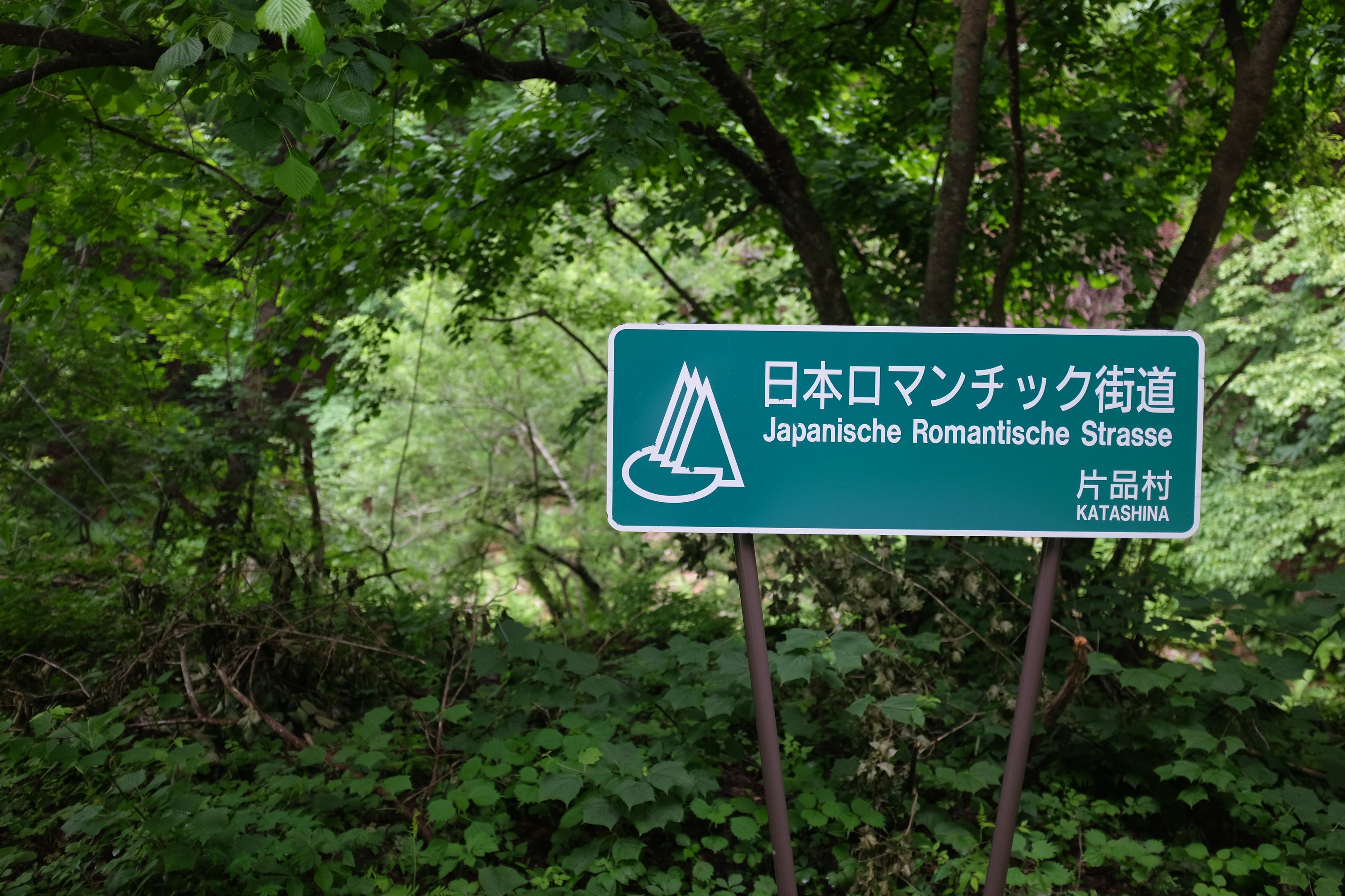 A road sign in a forest saying Japanische Romantische Strasse.