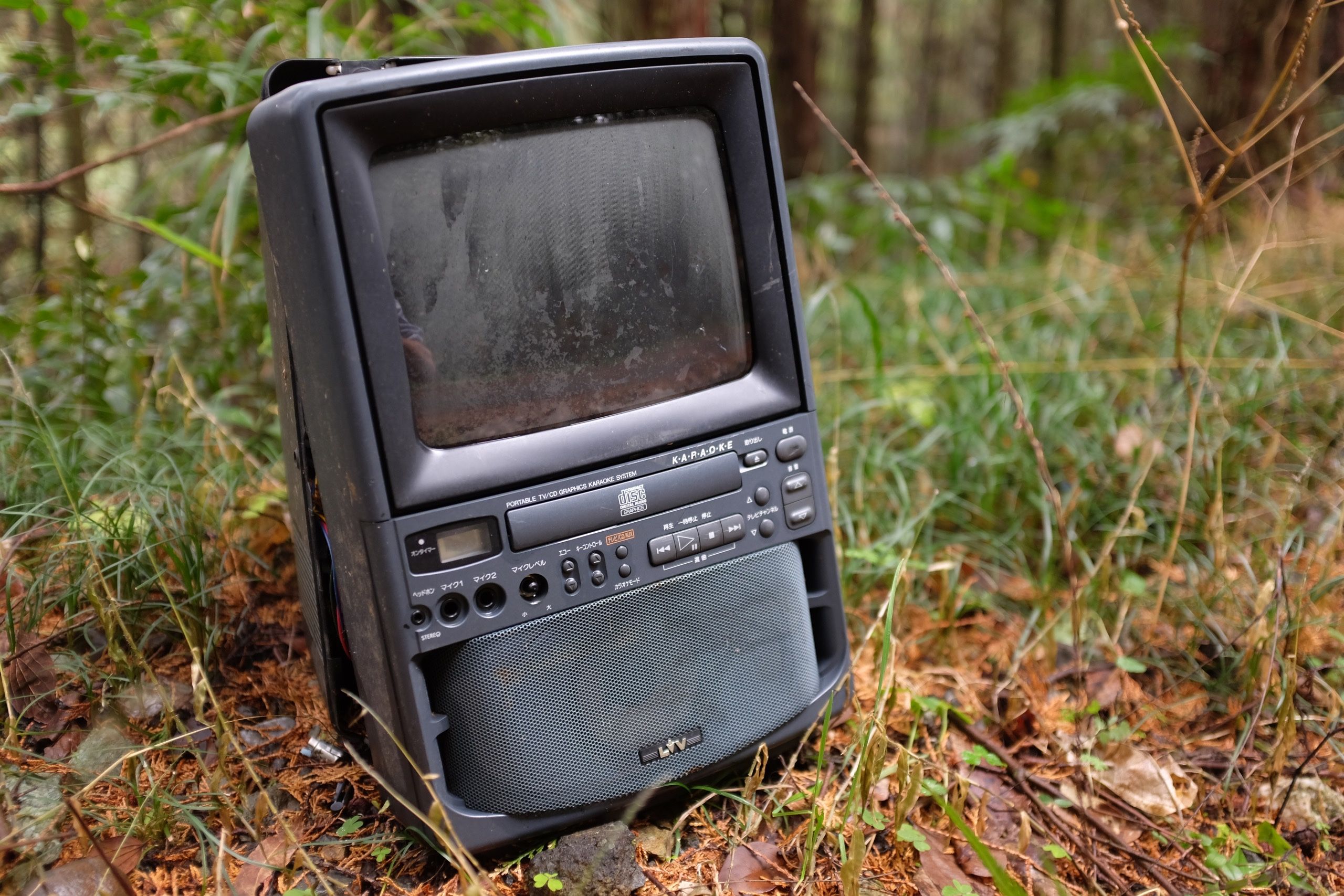 An all-in-one karaoke machine in the undergrowth of a forest, made of a small TV, a CD player, and a speaker.
