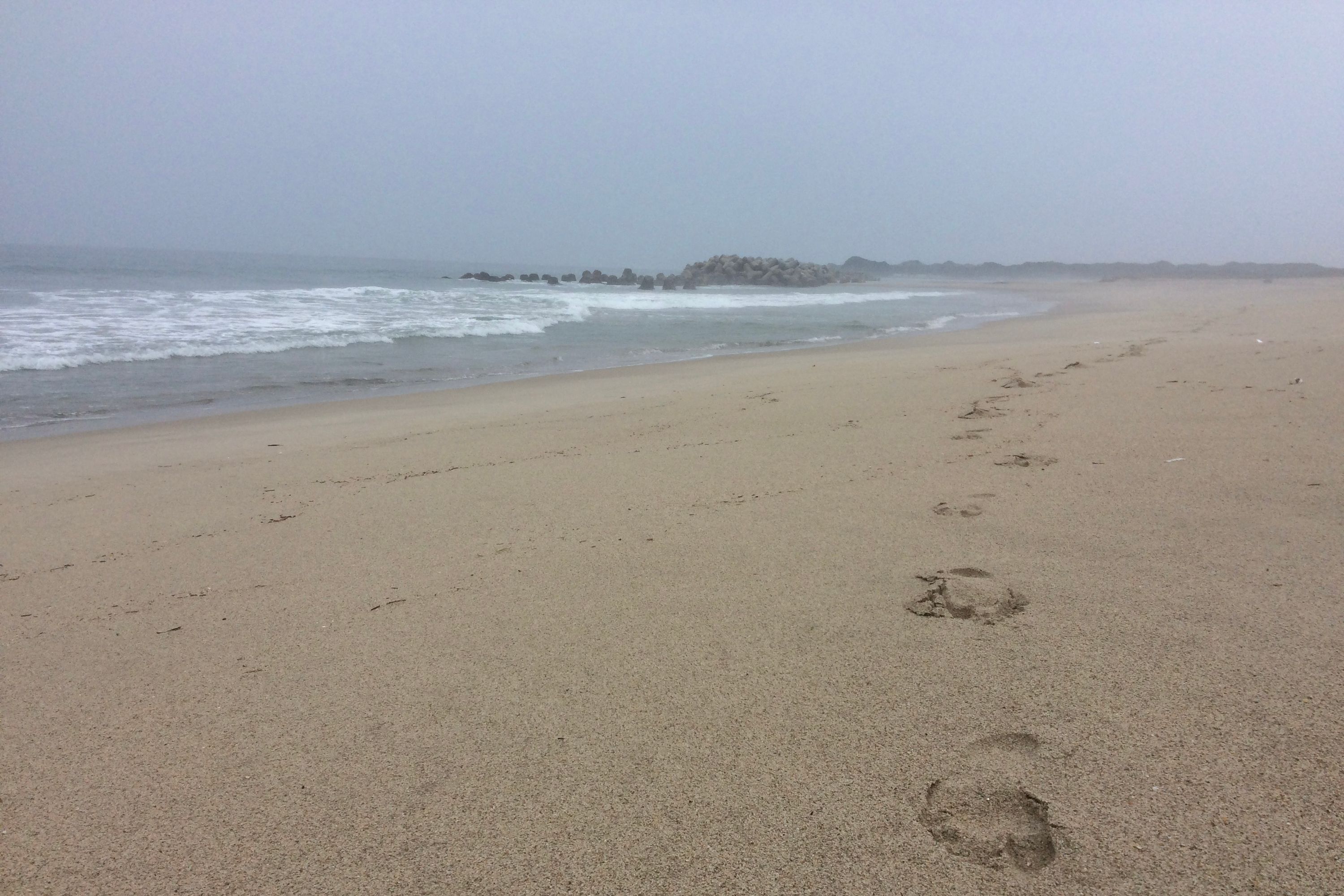 A line of footprints on the beach.