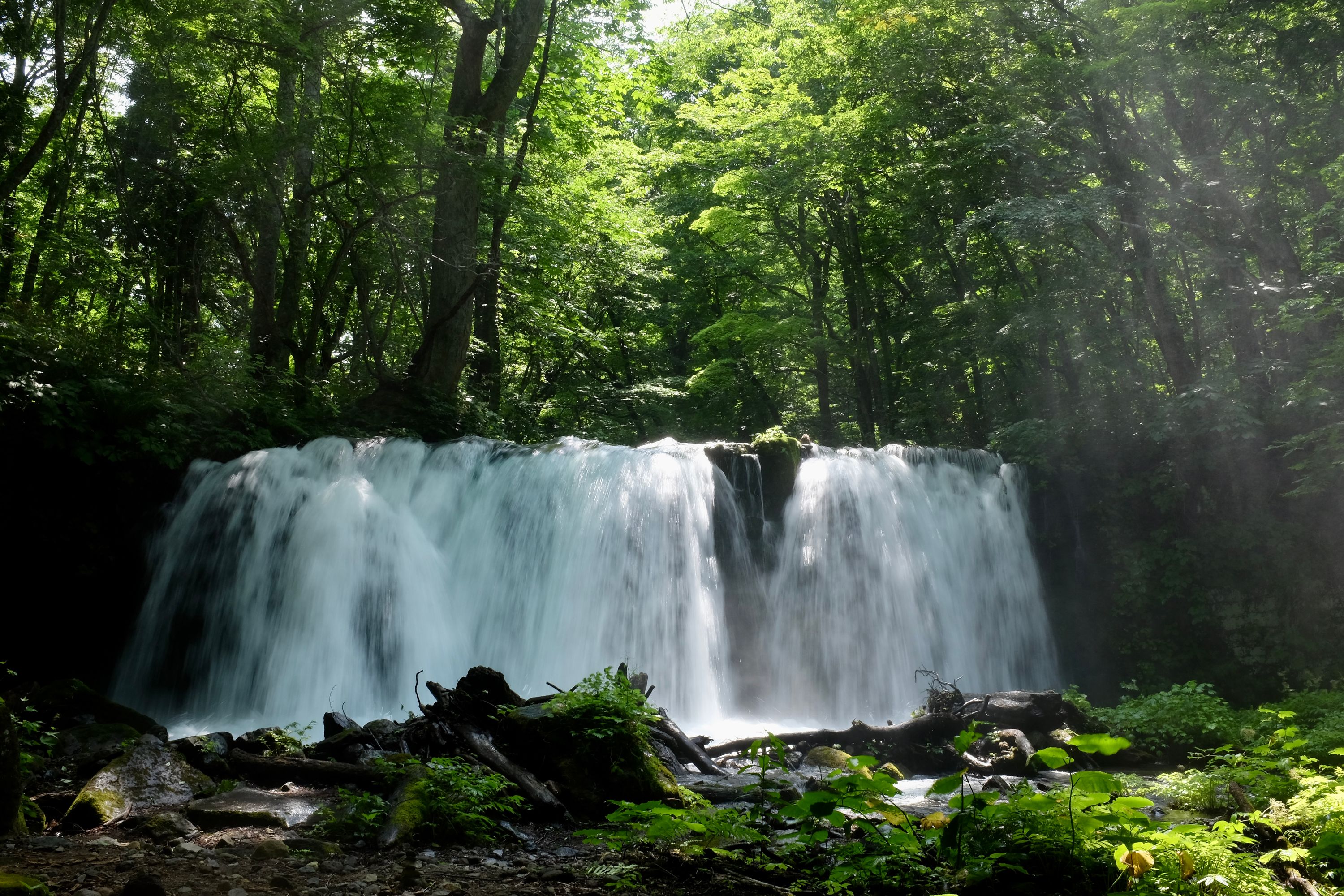 A small, horseshoe-shaped waterfall in a dark forest lit by strong sunlight.