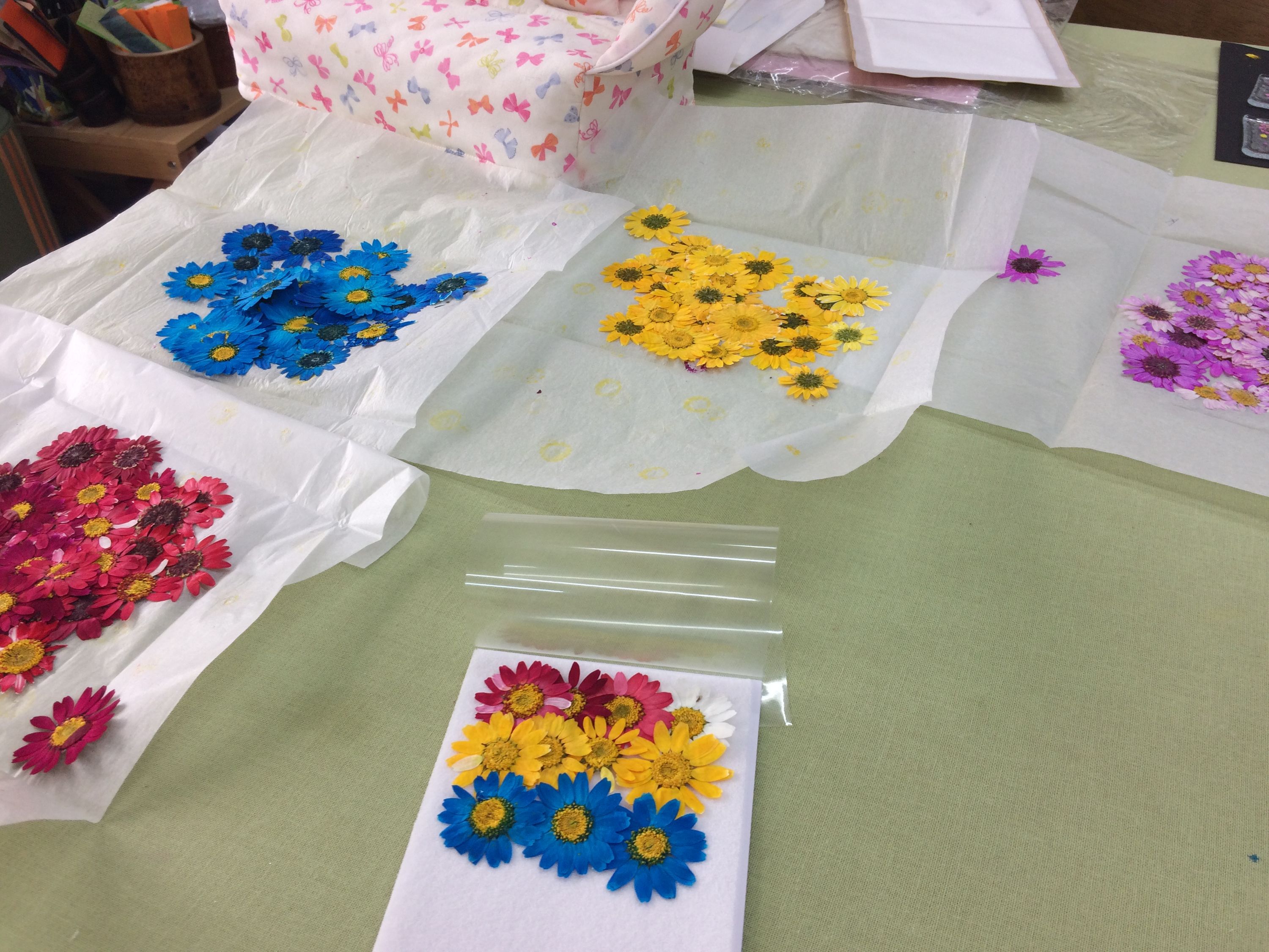 Colorful pressed flowers on pieces of white paper on a table.