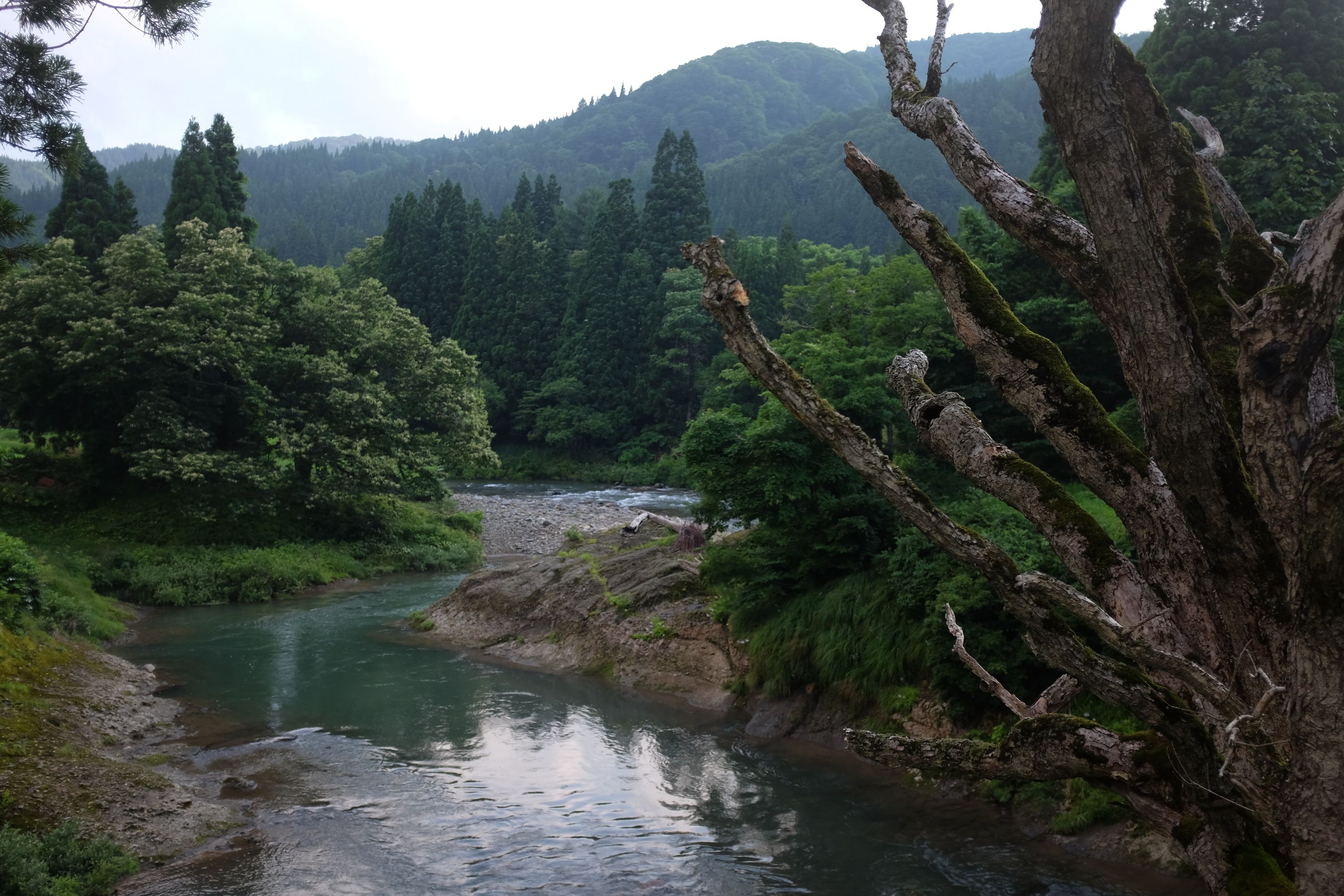 A stream winds through a forest in the hills.