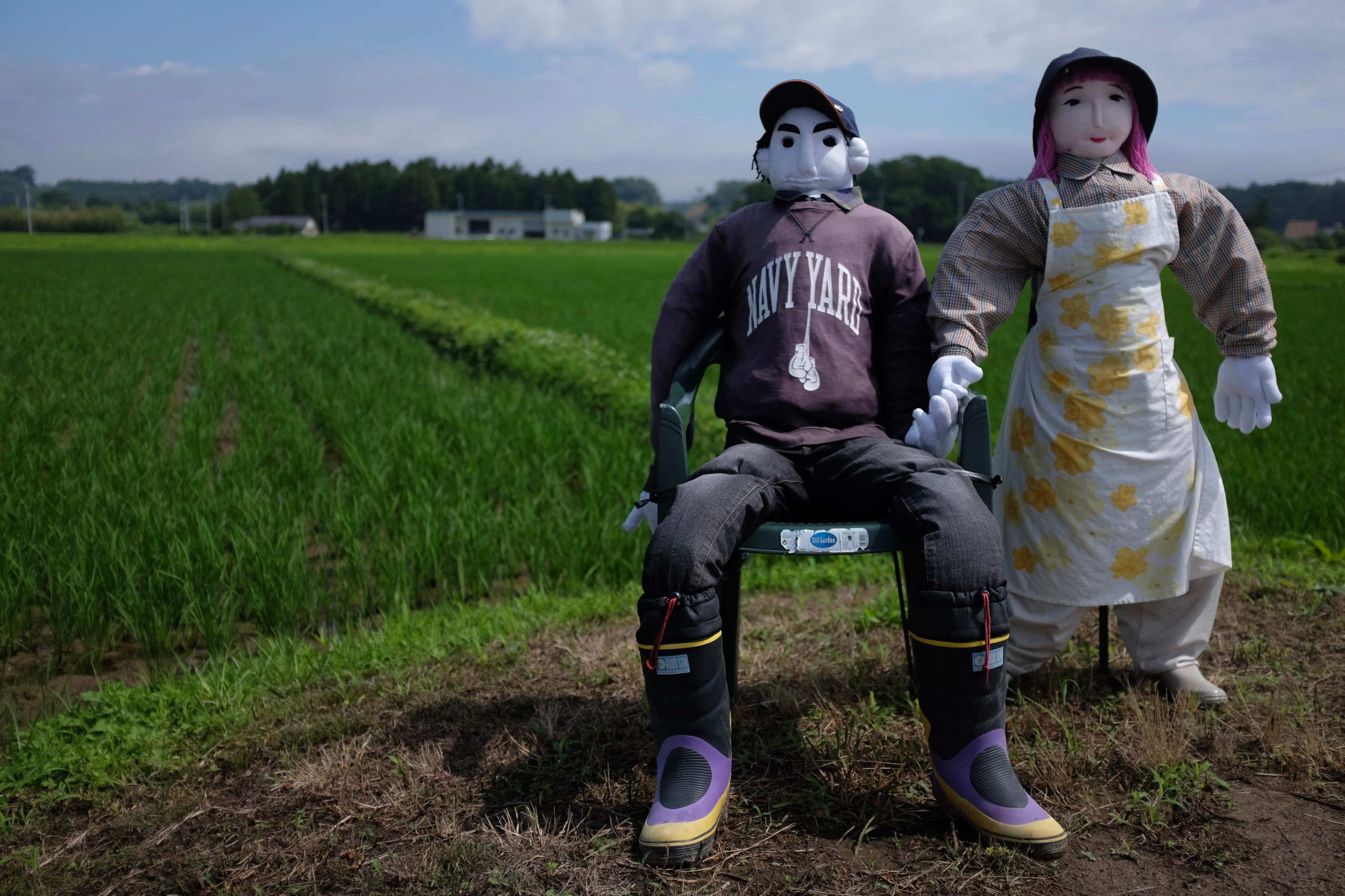 Two human-size dolls, a sitting man and a standing woman, guard one of the fields.