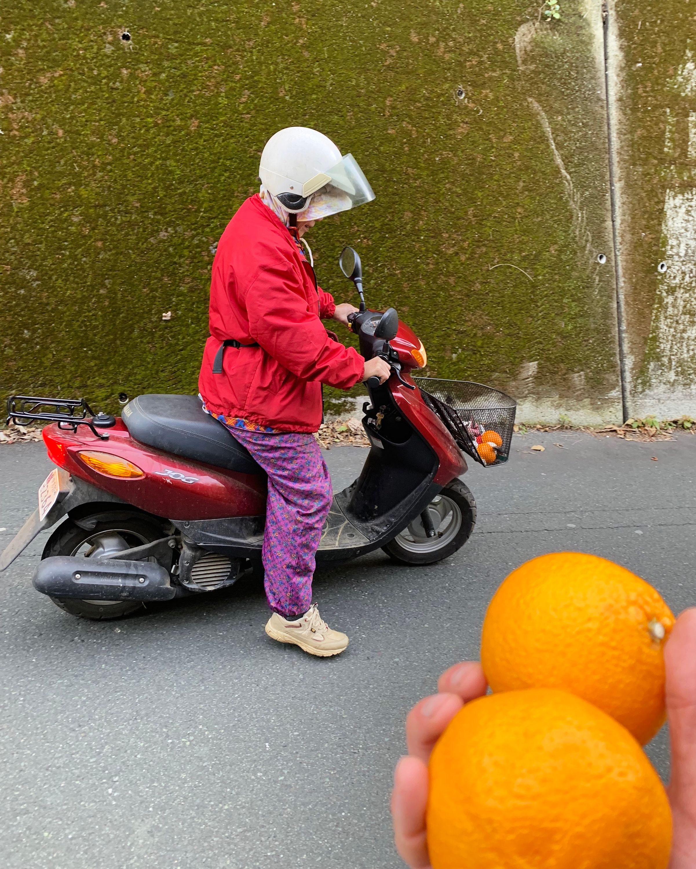 A woman in a red jacket and purple trousers astride a scooter, with oranges in her scooter’s basket. A hand reaches into the frame from the bottom right corner, holding two more oranges.