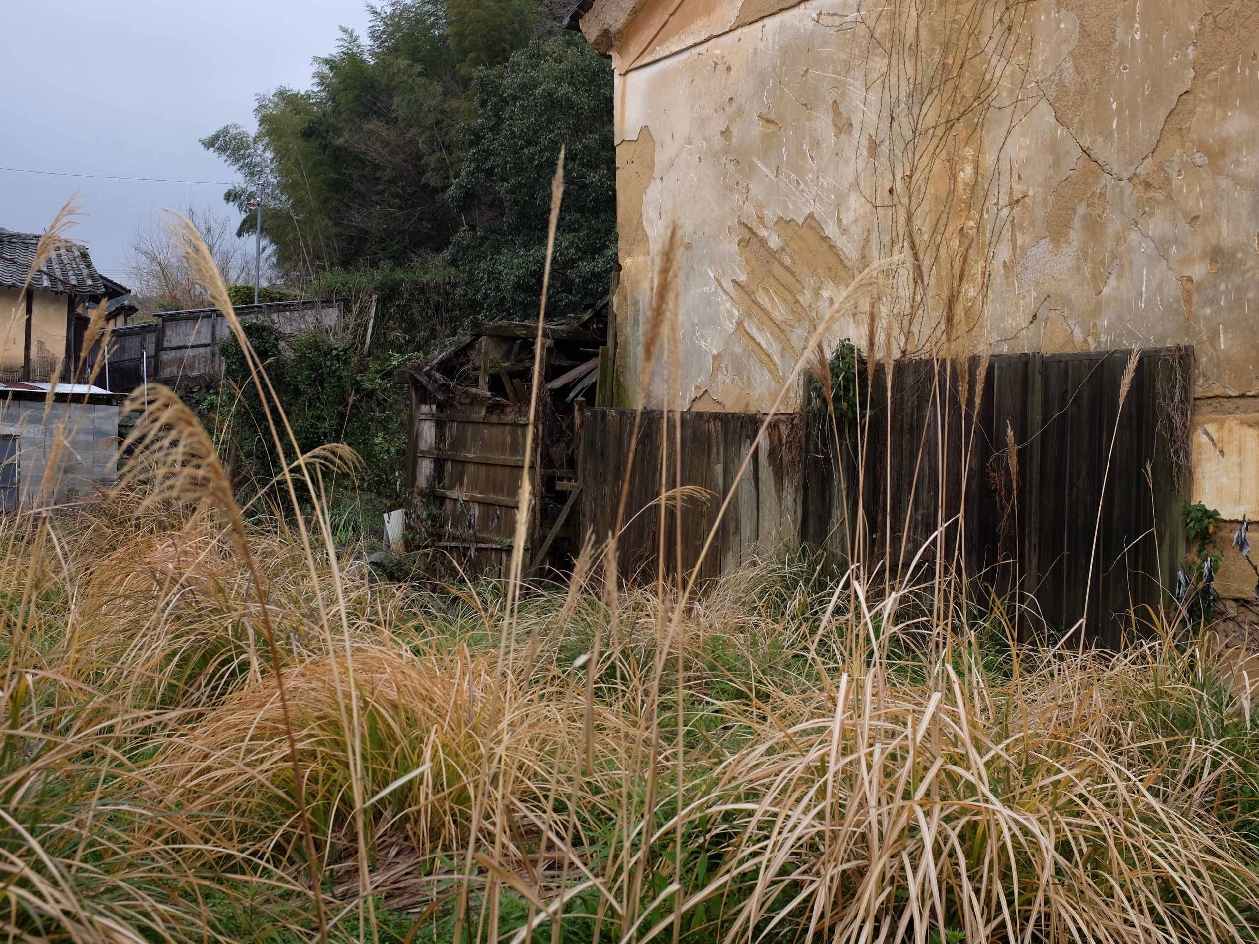 A kura, an old Japanee storehouse, in an overgrown lot.