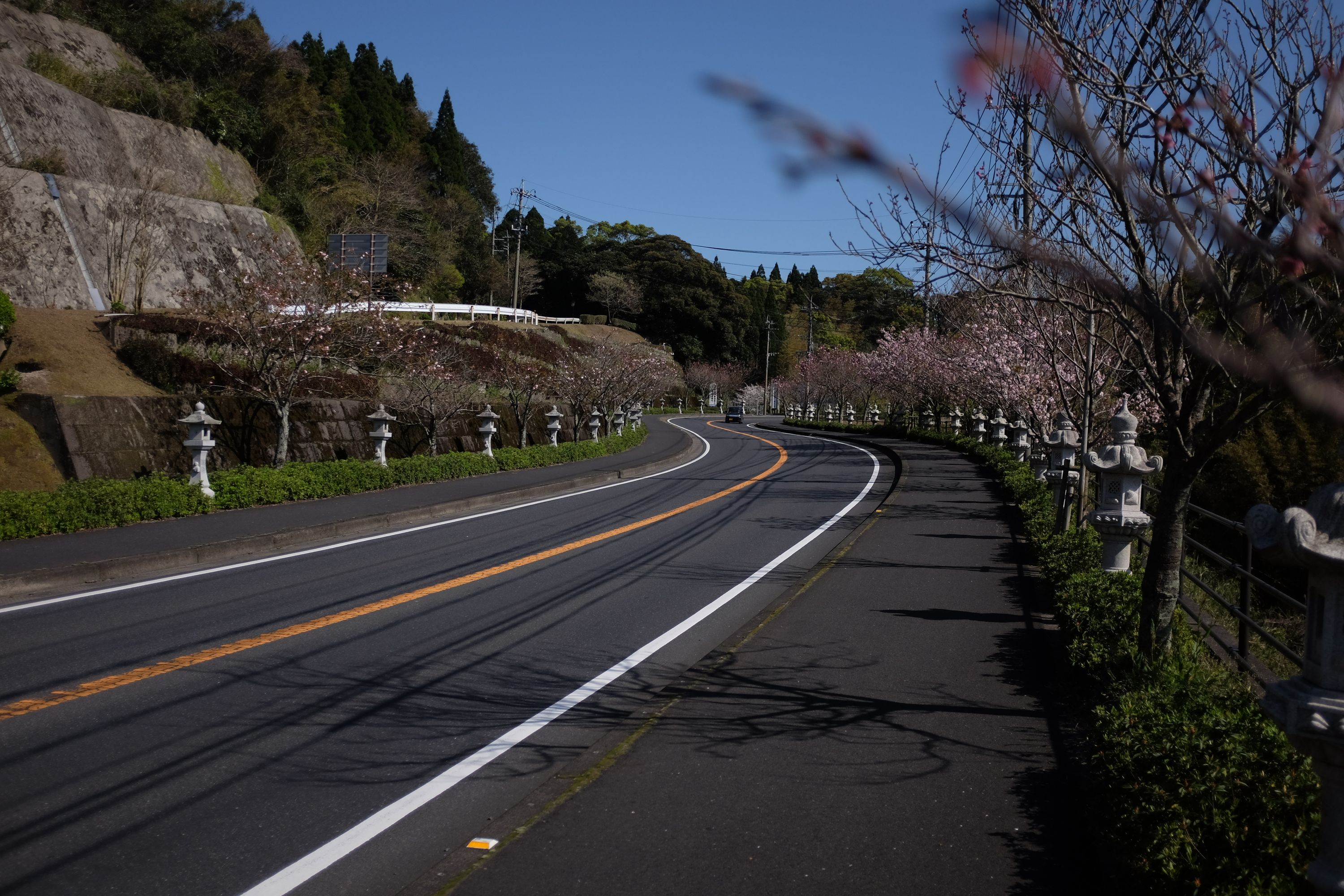 A twisting road lined with stone lanterns.