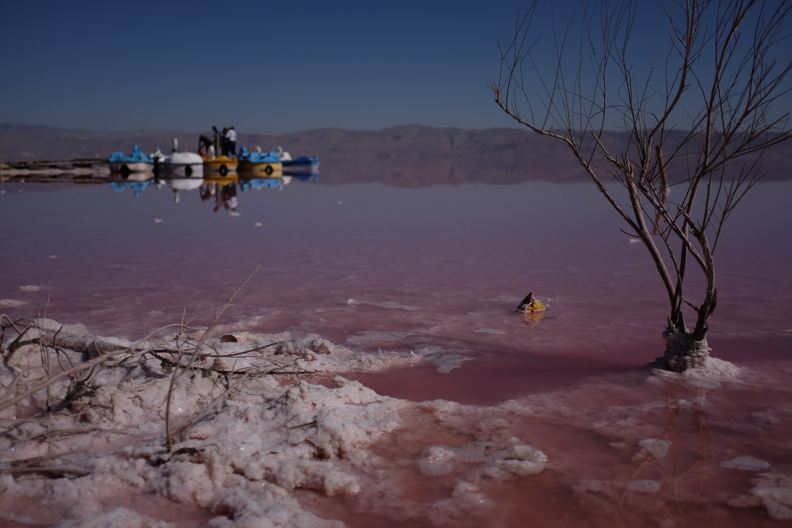 On a pier in a dramatically pink lake, boys stand around colorful boats.