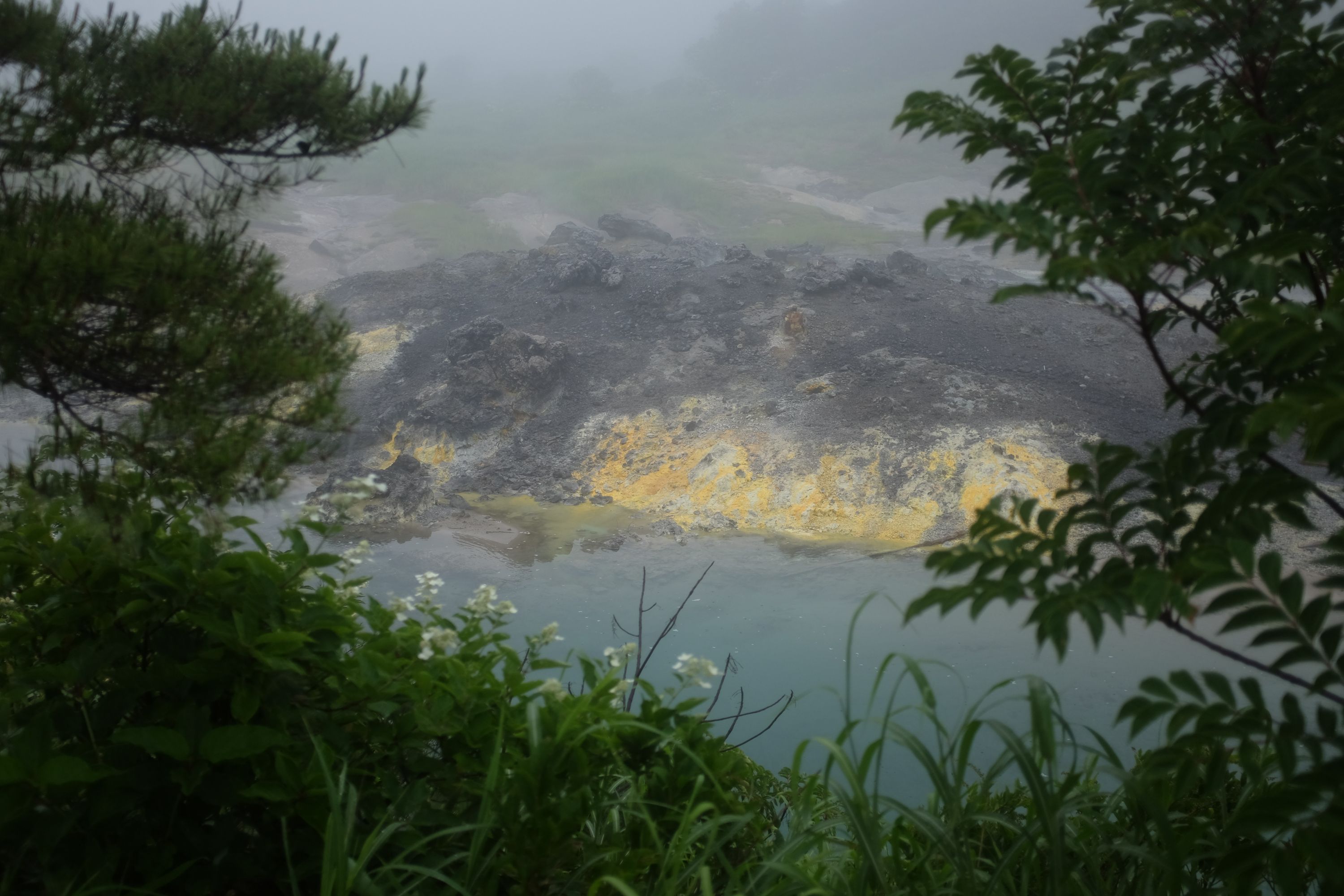 A sulphur deposit by a stream as seen from above through leaves.