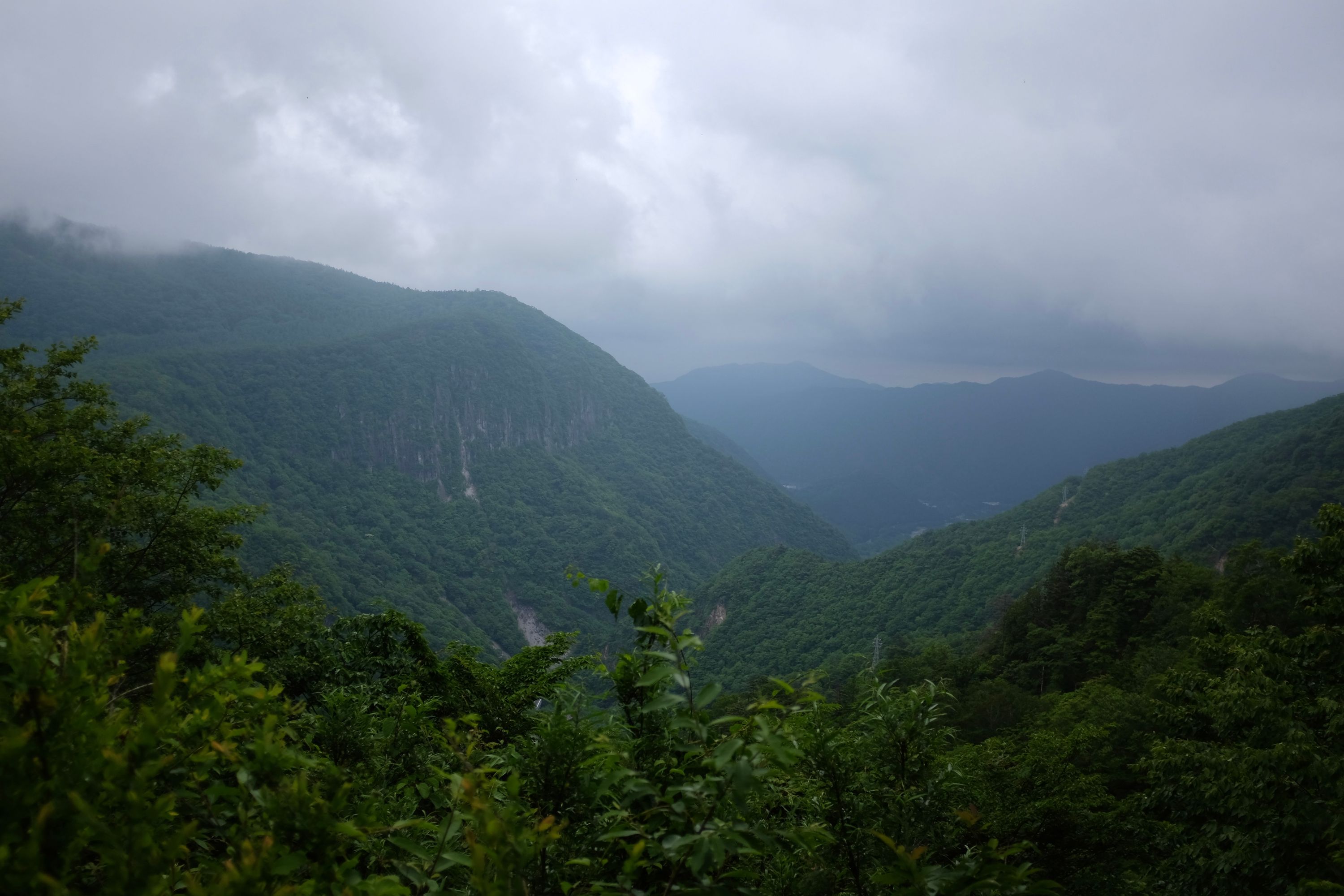 A panorama of a verdant, cloudy landscape with steep rock walls covered in thick forest.
