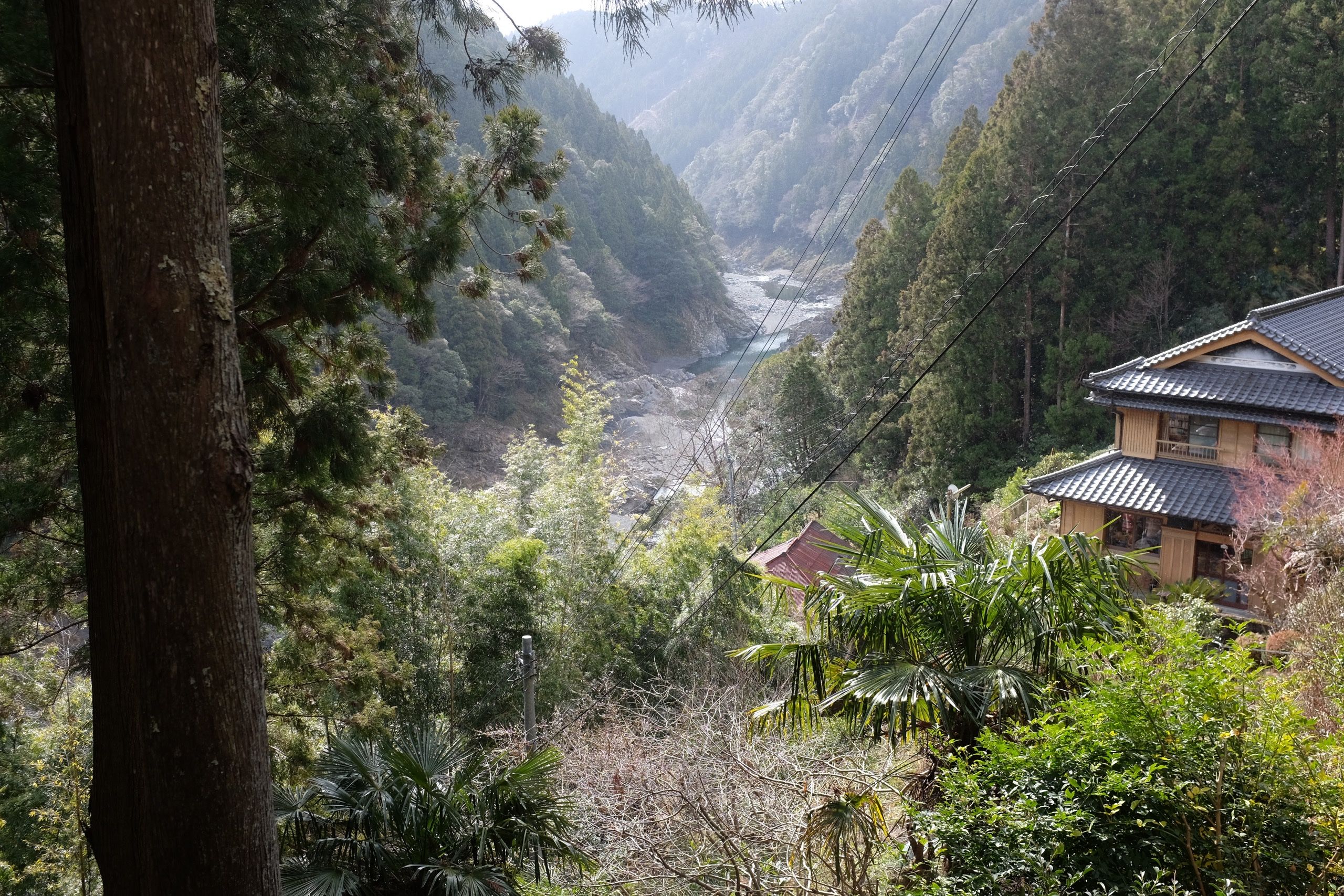 Looking into a very steep, wooded valley.