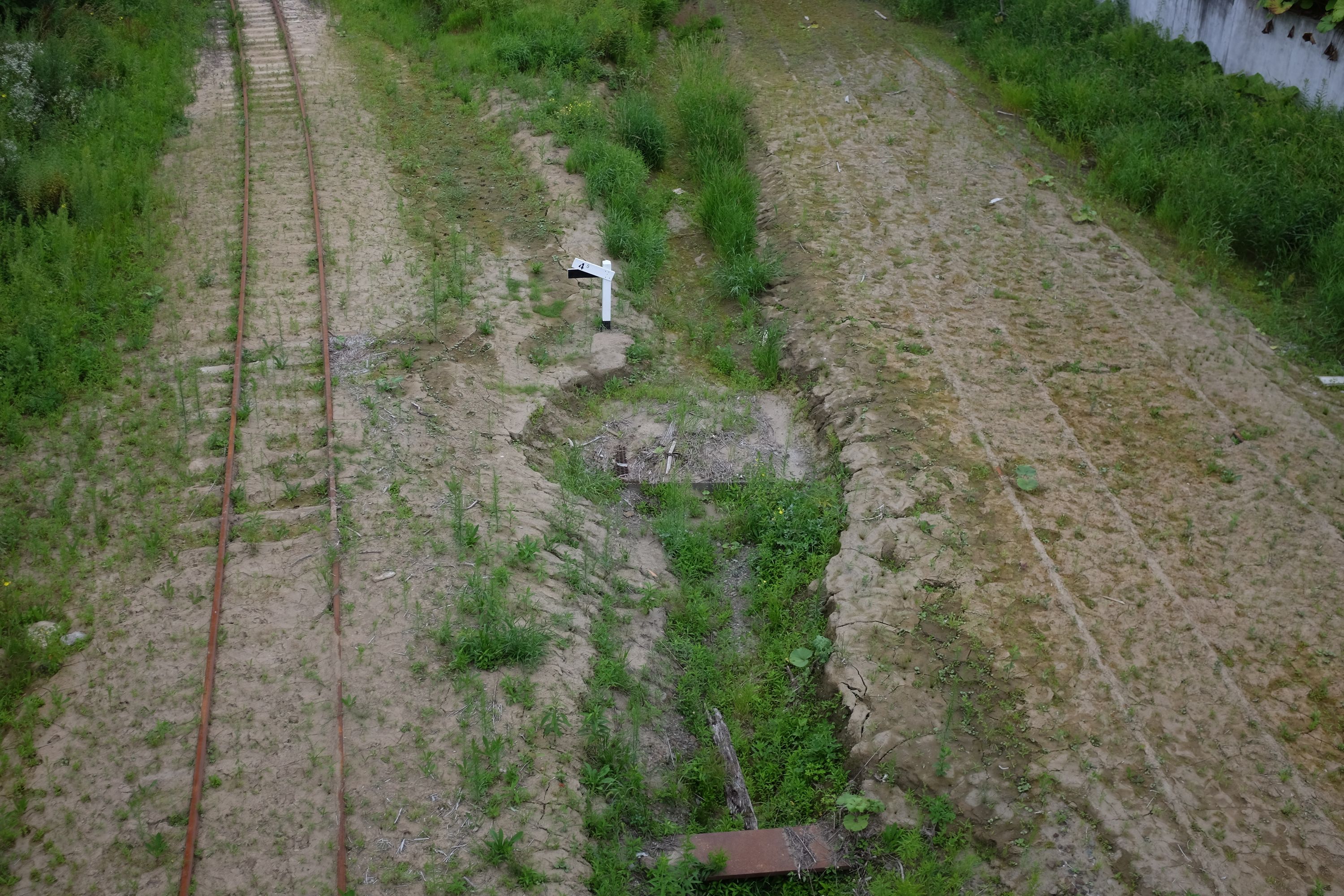 Two pairs of abandoned railway tracks, the right one already removed.