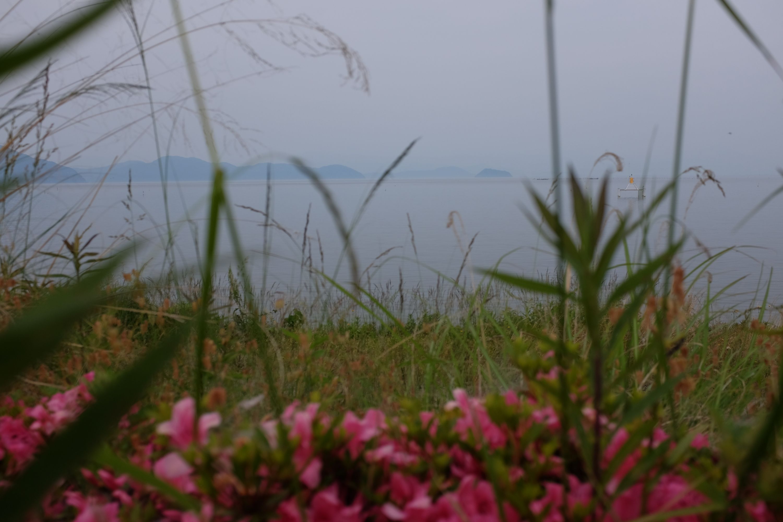The view from a grassy beach on Lake Biwa.