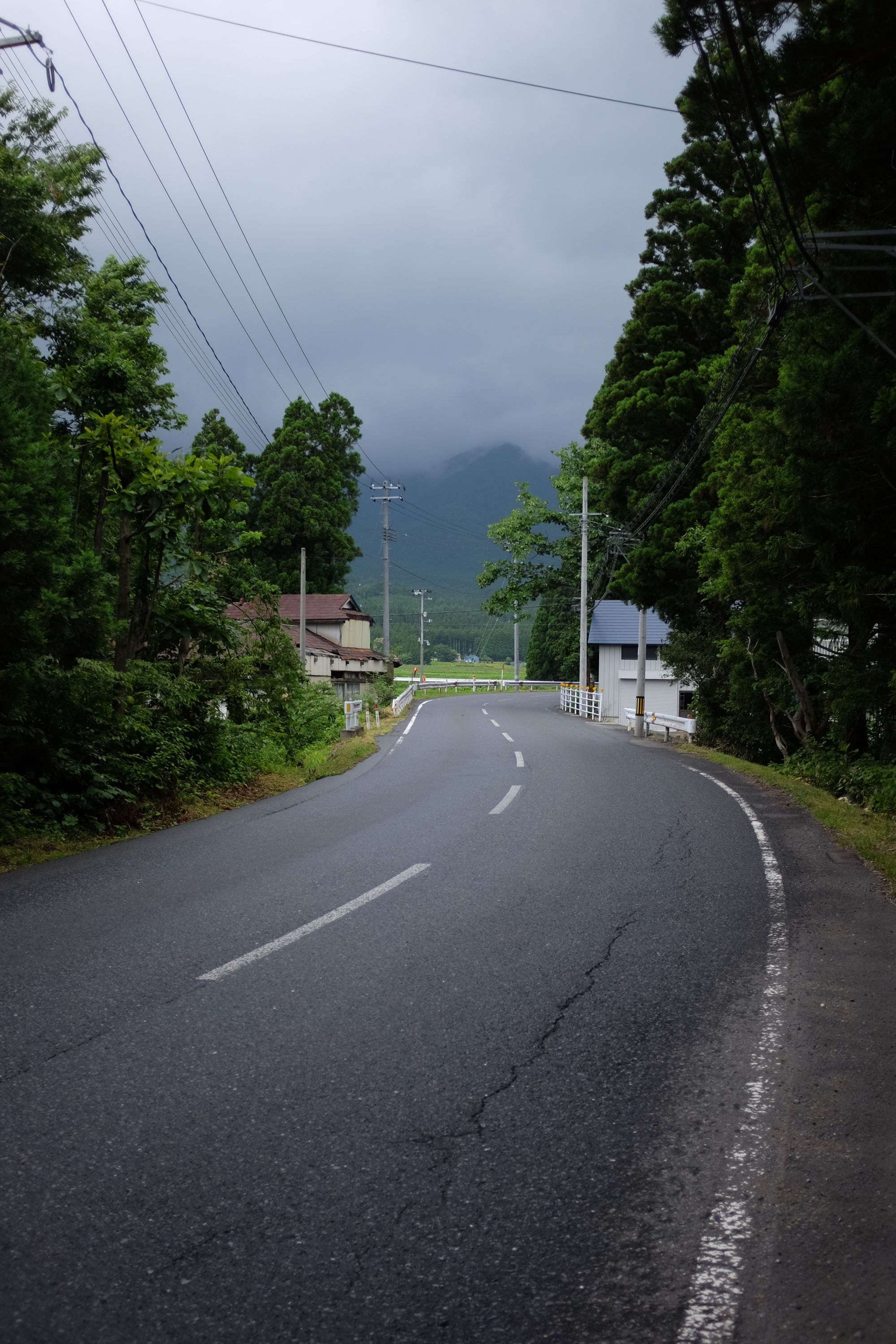 A narrow road leads towards rice fields and forested mountains.