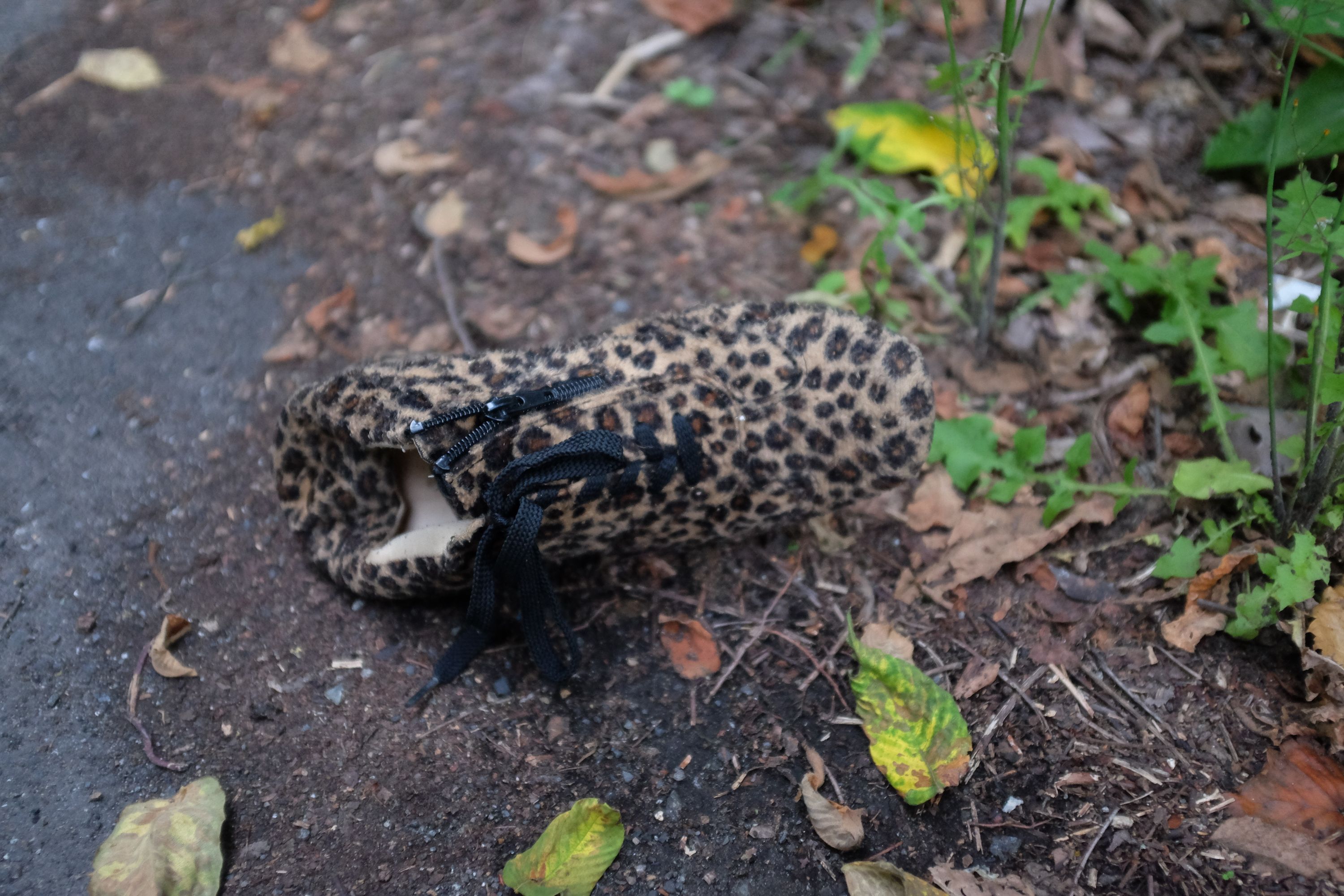 An abandoned high-heeled shoe with an animal print on the roadside.